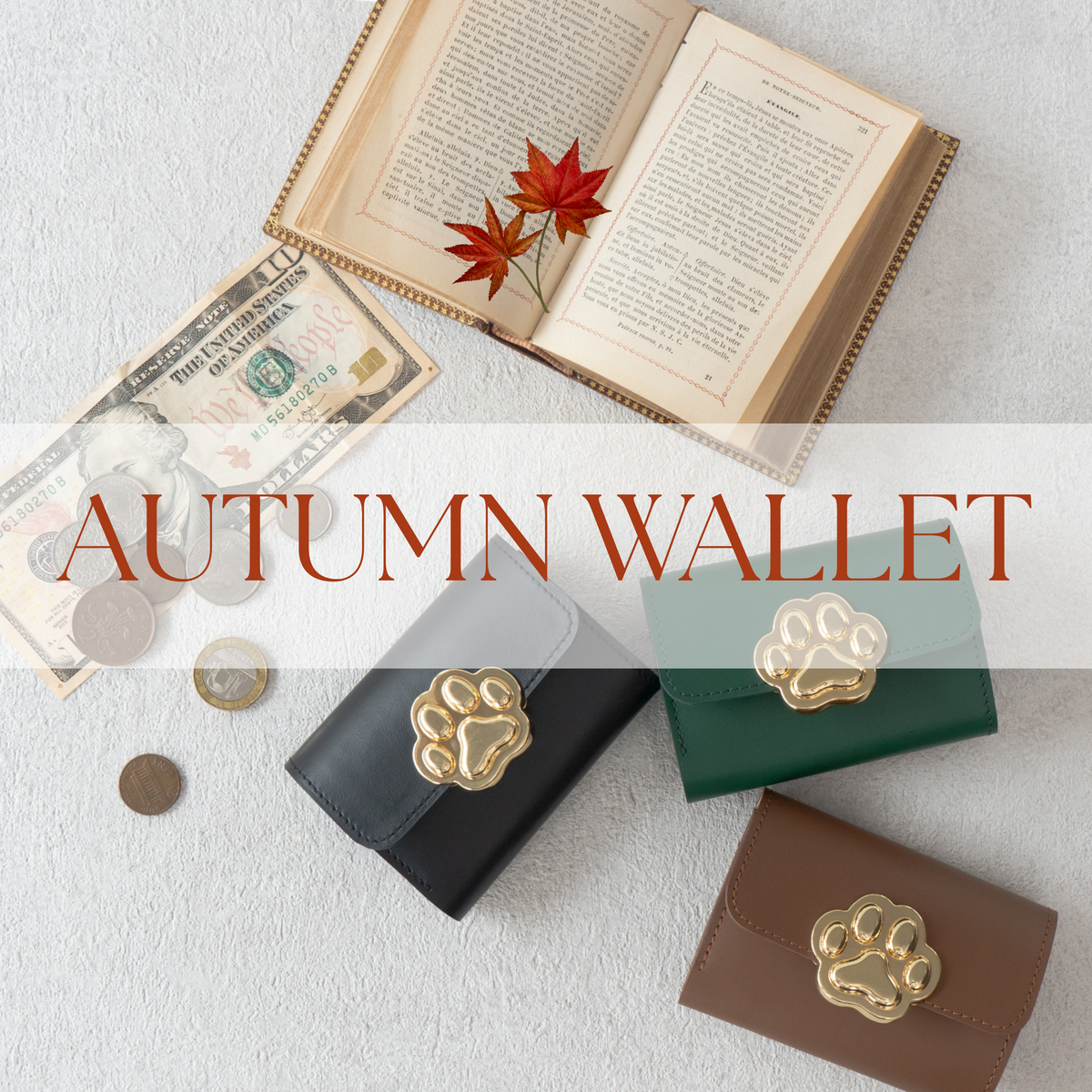 「秋財布」って知ってる?🍂