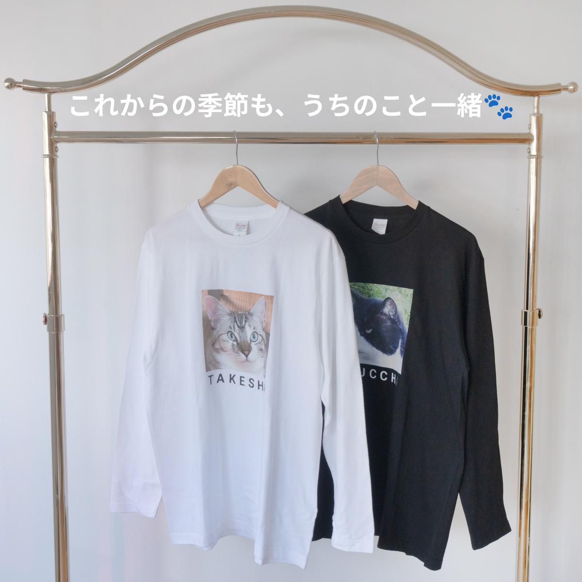 「うちのこロングTシャツ」が初登場🐾
