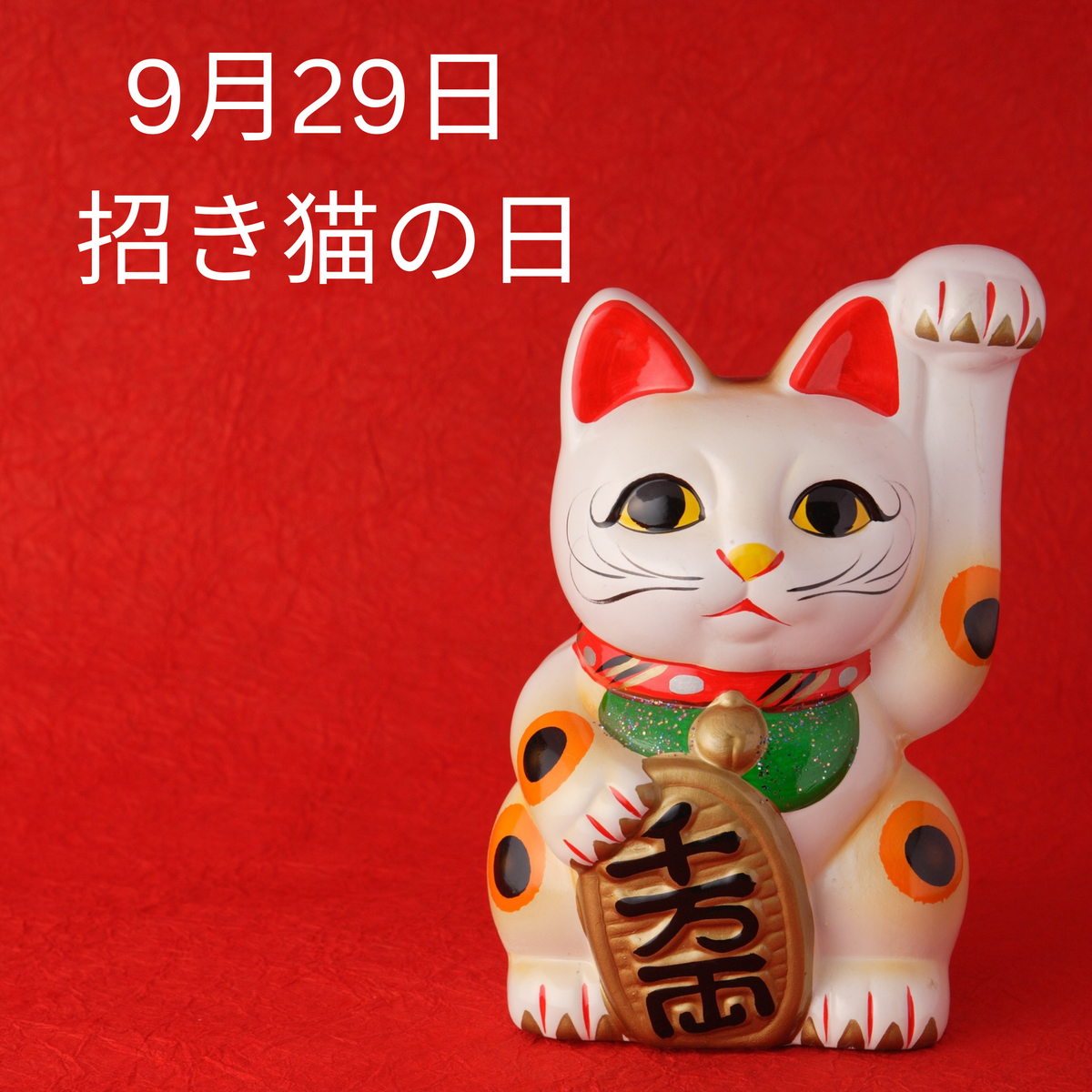 9月29日は「招き猫の日」🐈