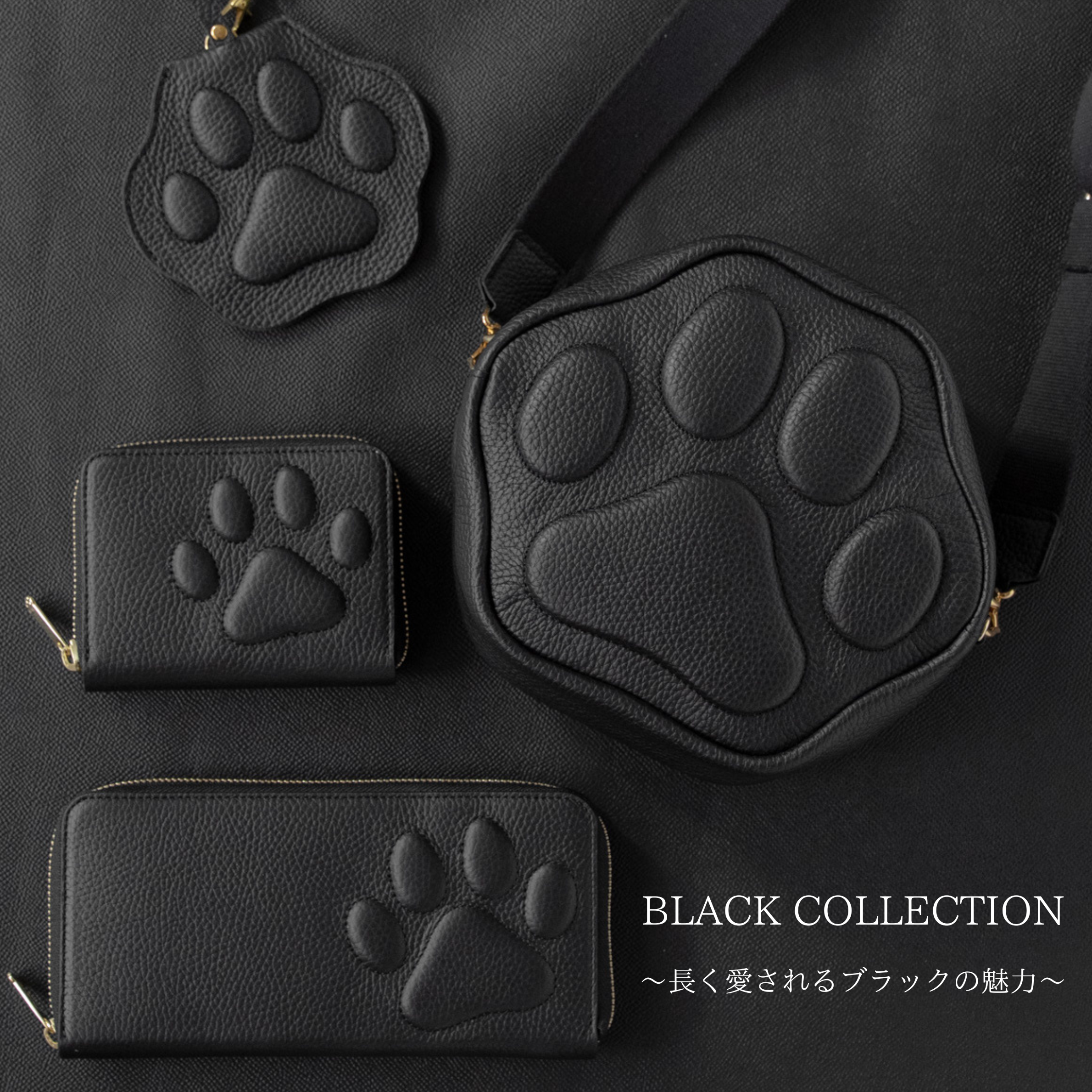 なぜブラックは人気?Cats of Philosophiiで選ばれ続ける理由🐈⬛