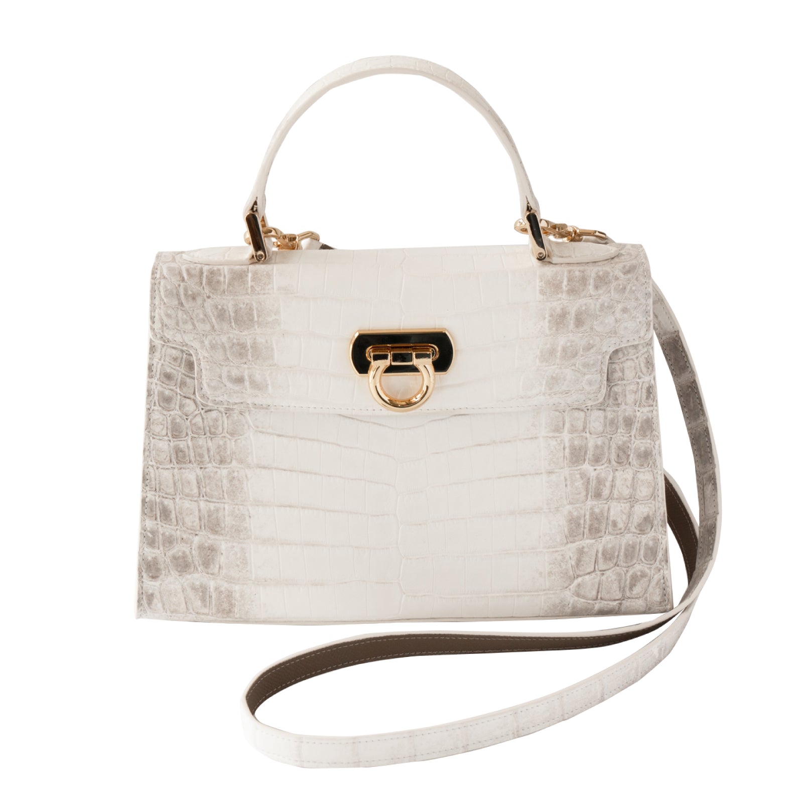 【おつとめ品セール】カンパネラ25 ヒマラヤクロコダイル