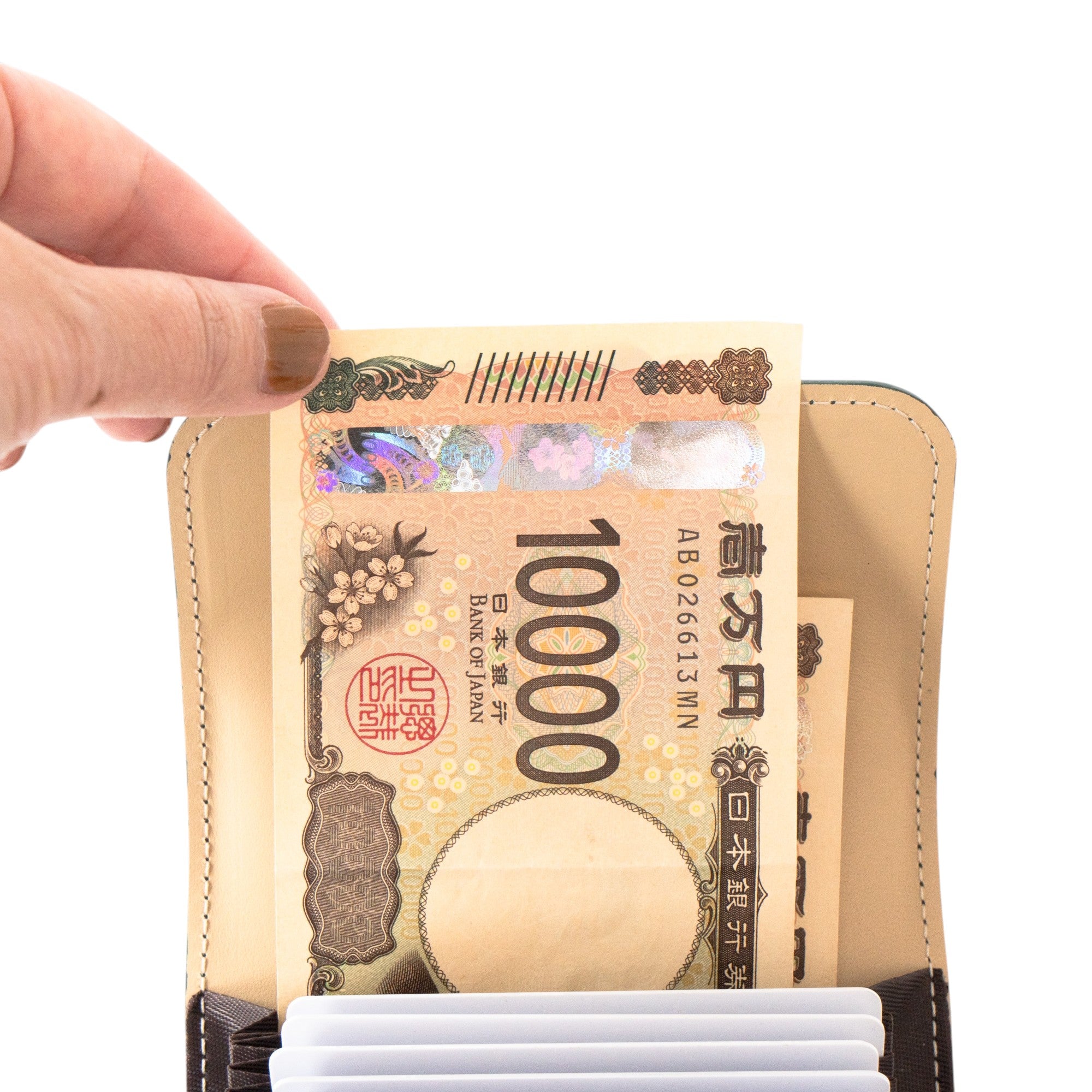 【早割あり】【受注生産:6/5(金)22:00〜14(日)】PAWプレートミドルウォレット / エメラルド