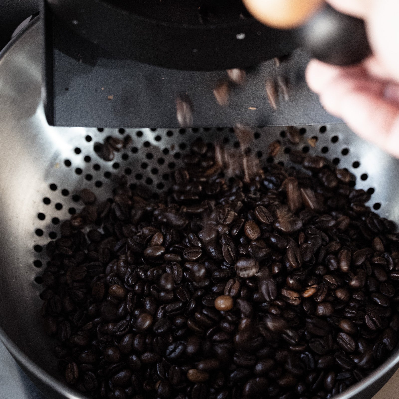 【カフェオレにもおすすめダークロースト】さくらねこブレンド・煎りたて自家焙煎コーヒー