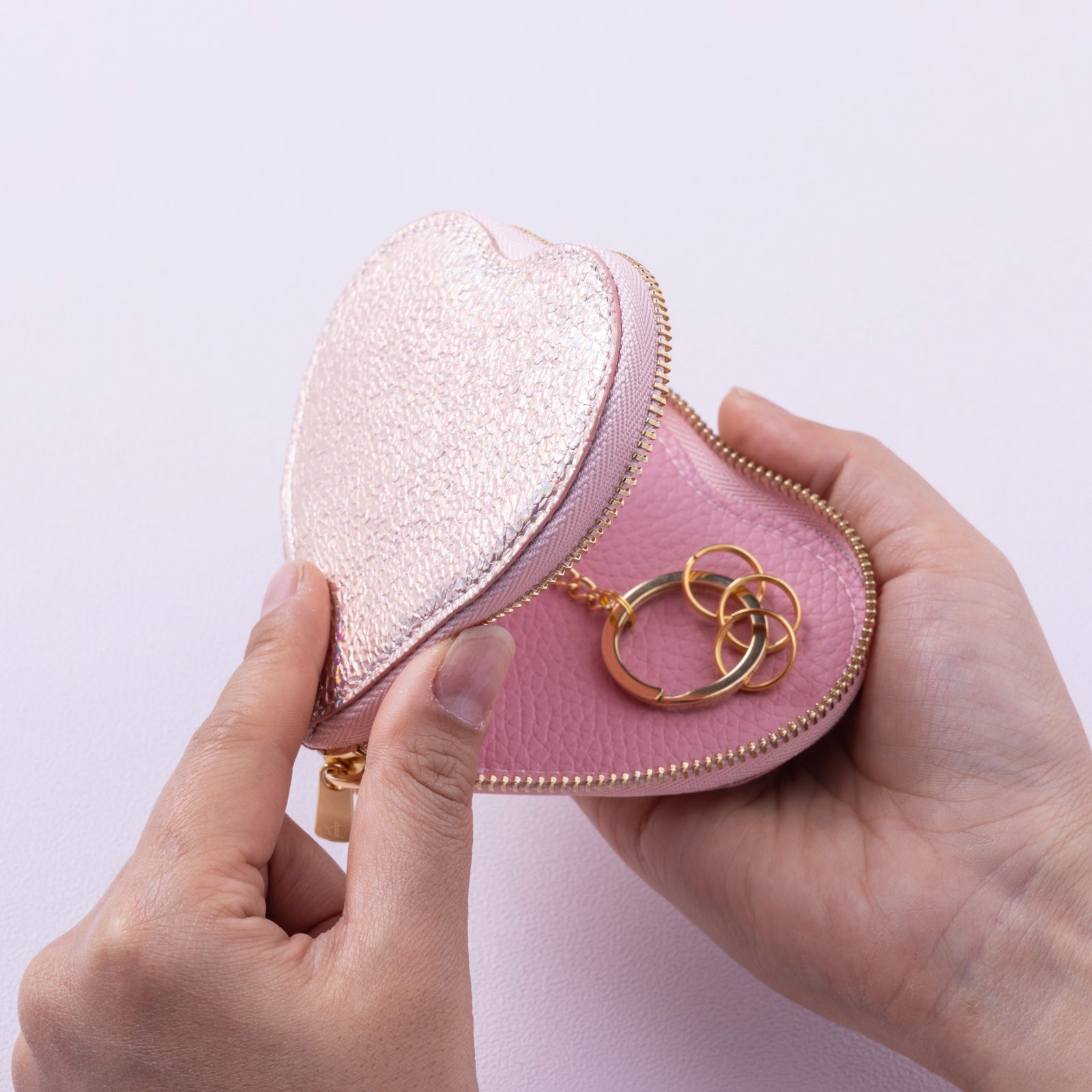 Heart smart key case / Prism