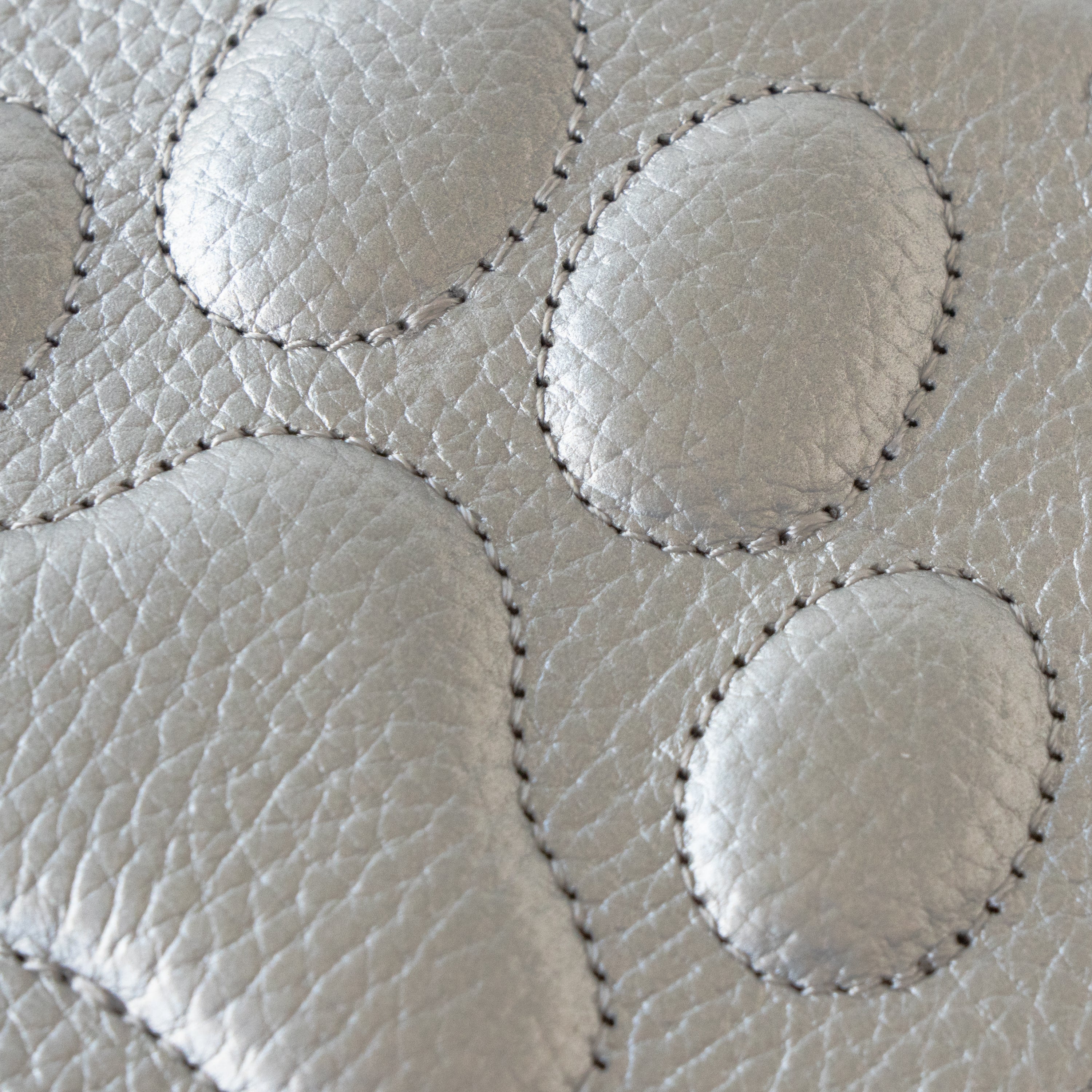 PAW Pass Case Crochette Cuir Mach / Silver