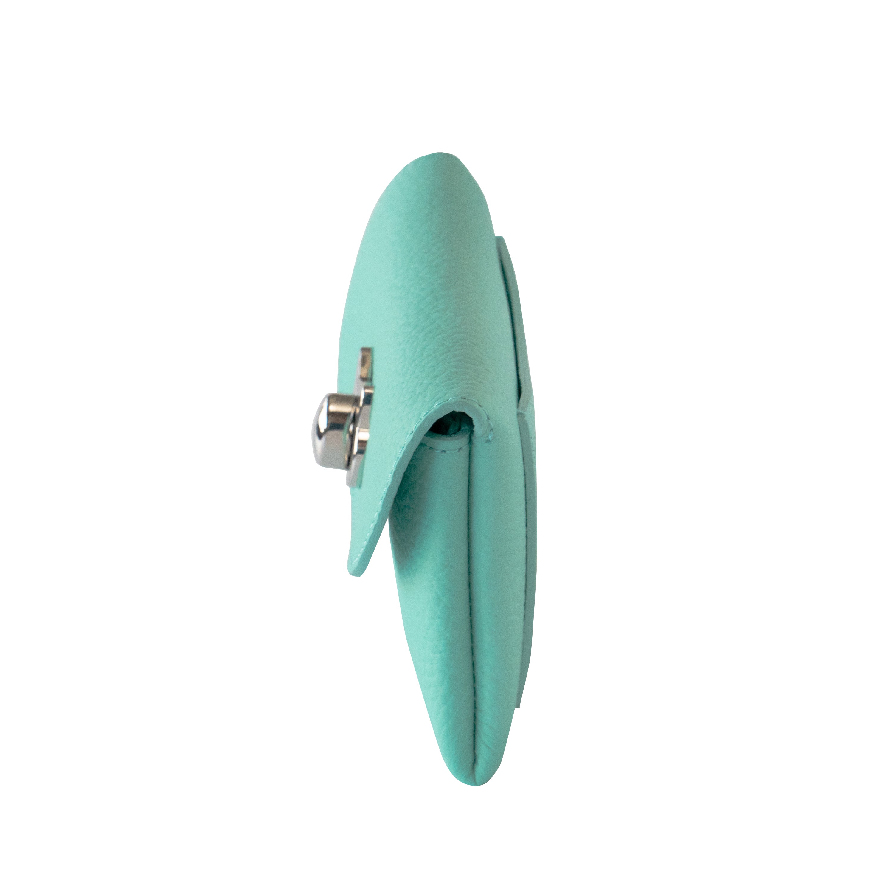 Flap Wallet Fleunie Medium Cuir Mash / Bleu Dragée