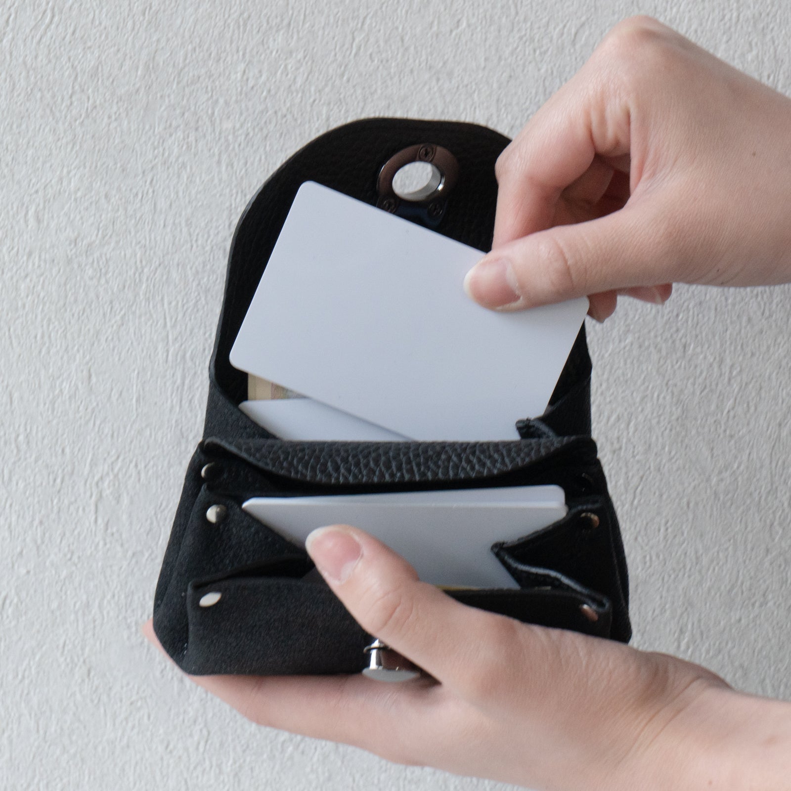 Sparkling Shell Wallet CAT / Black