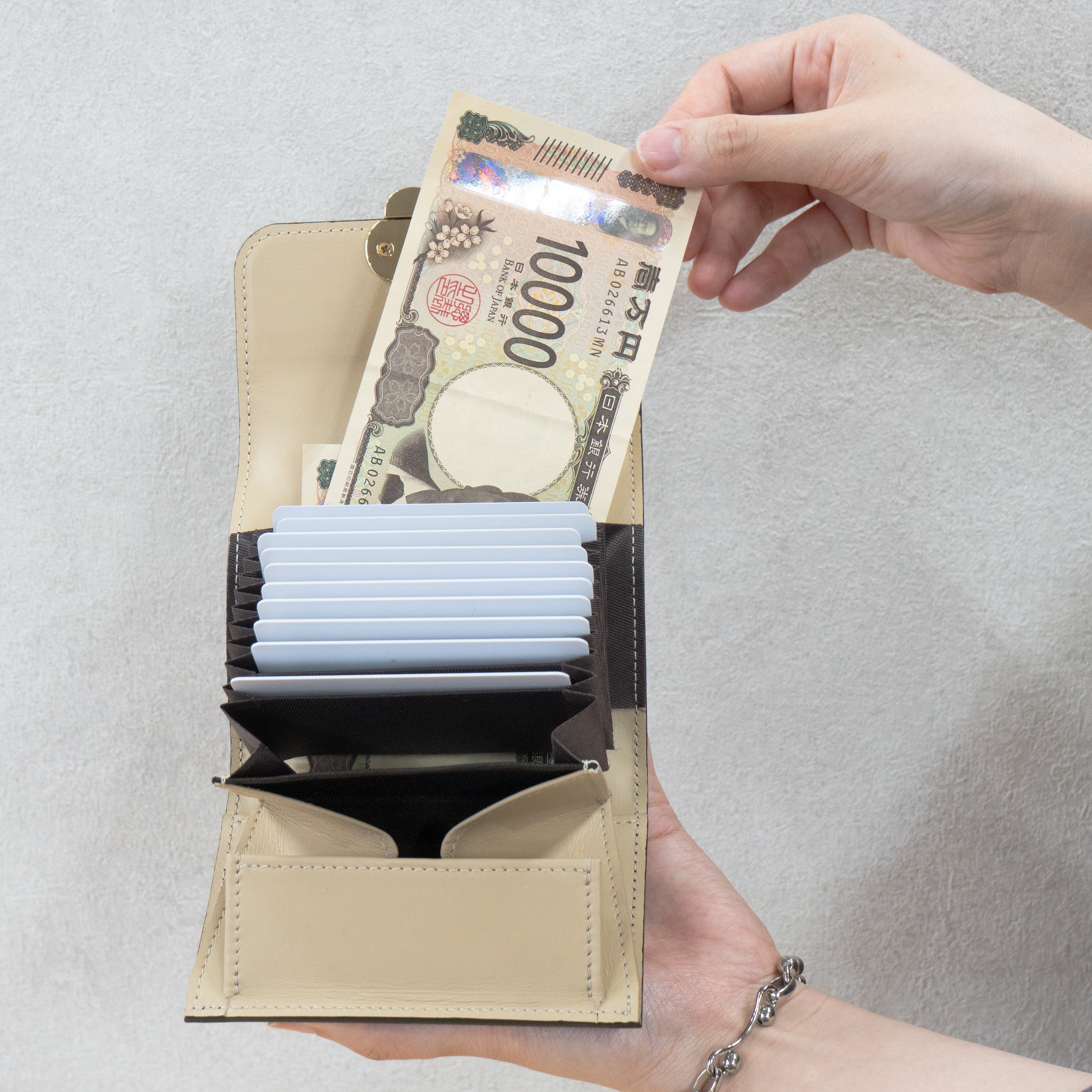 Early bird discount available. Pre-order: June 5 (Fri) 22:00 - June 14 (Sun). PAW Plate Mid Wallet / Black