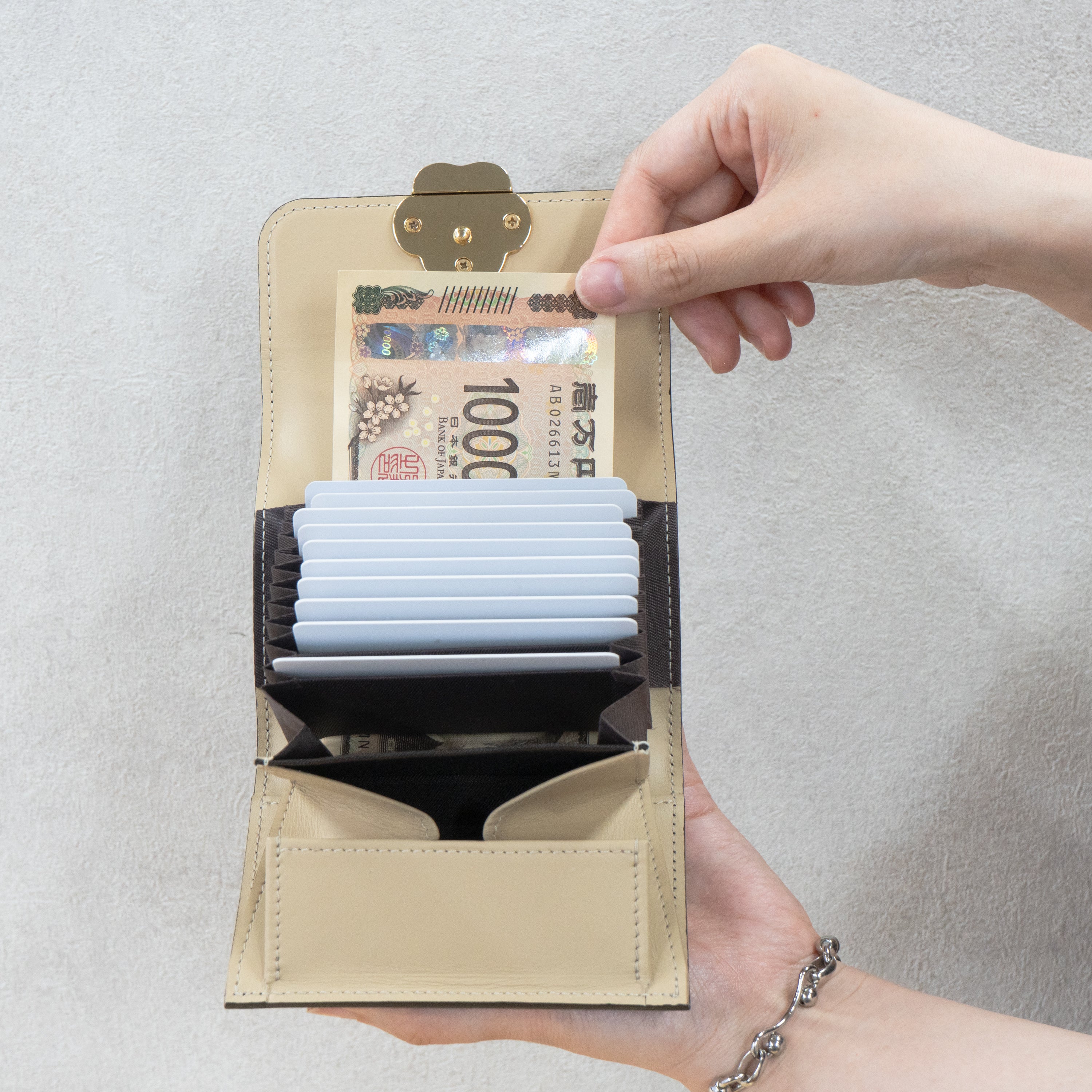 Early bird discount available. Pre-order: June 5 (Fri) 22:00 - June 14 (Sun). PAW Plate Mid Wallet / Black