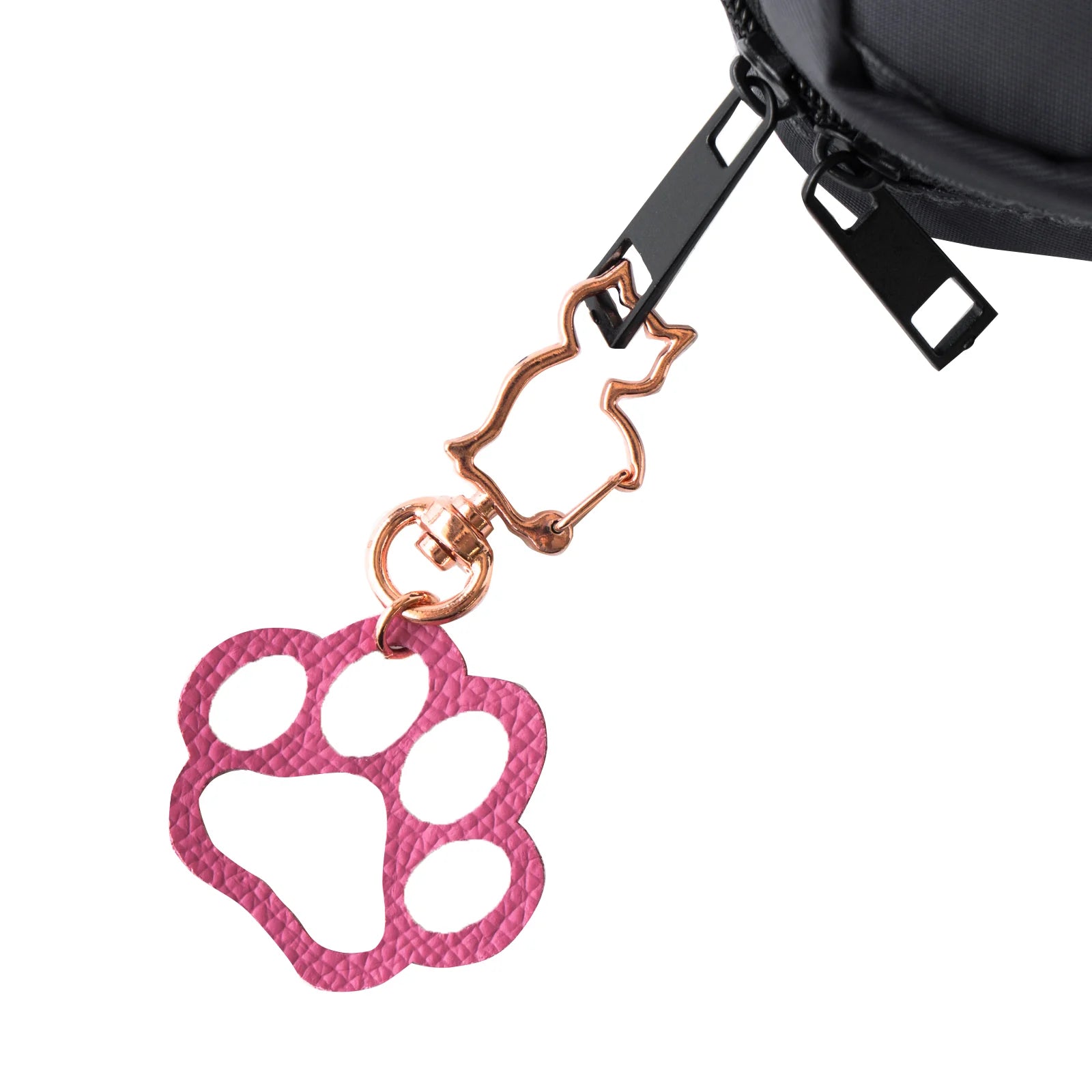 保護猫チャリティー ニャンプリートSET / ネイビー