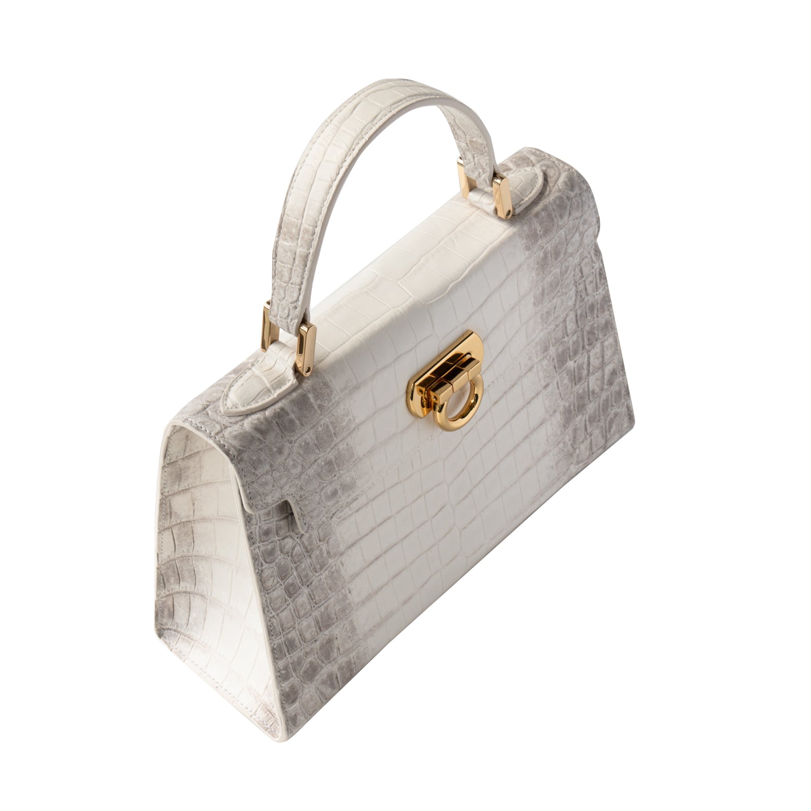 【おつとめ品セール】カンパネラ25 ヒマラヤクロコダイル