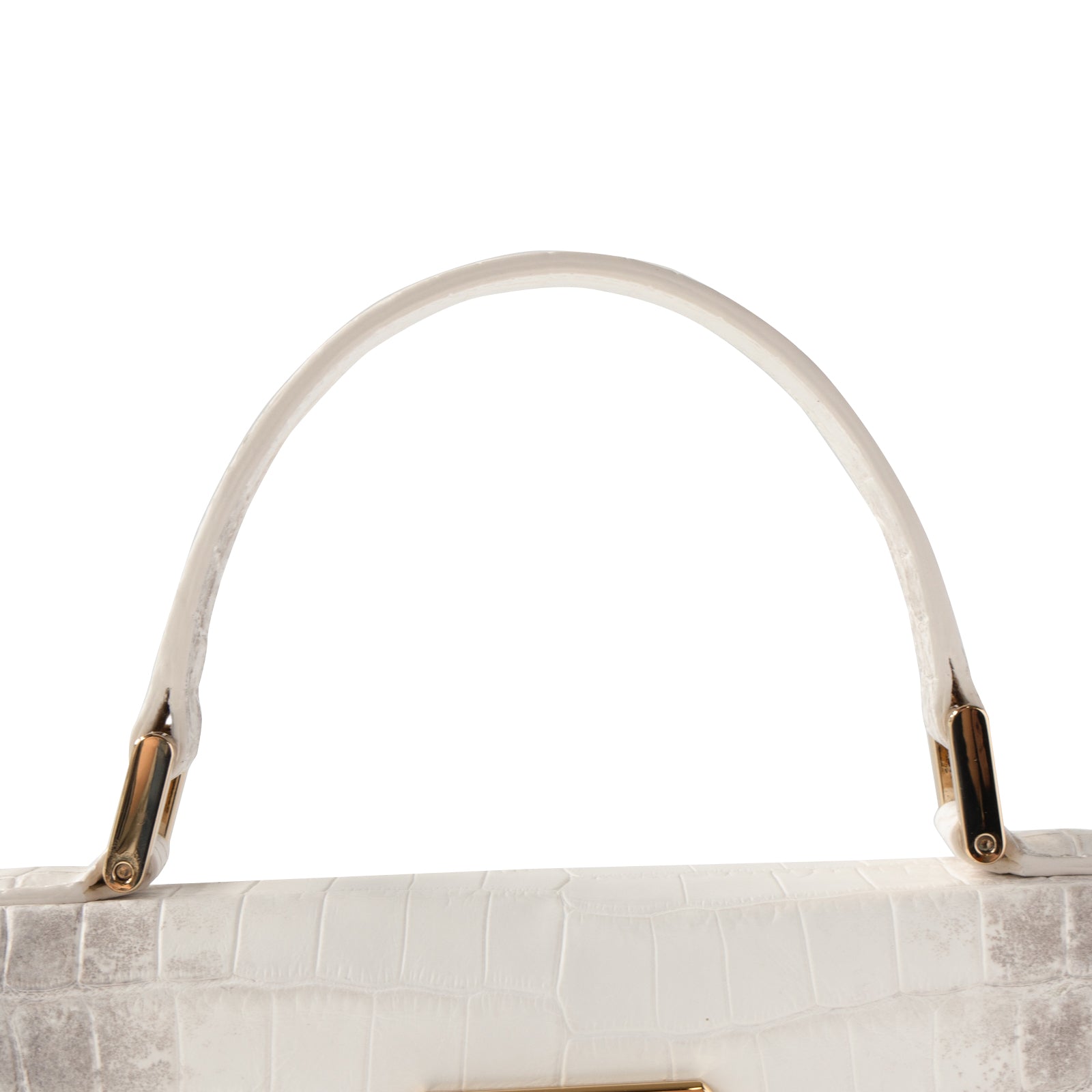 【おつとめ品セール】カンパネラ25 ヒマラヤクロコダイル