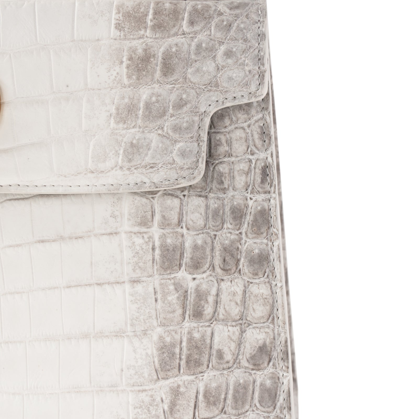 【おつとめ品セール】カンパネラ25 ヒマラヤクロコダイル