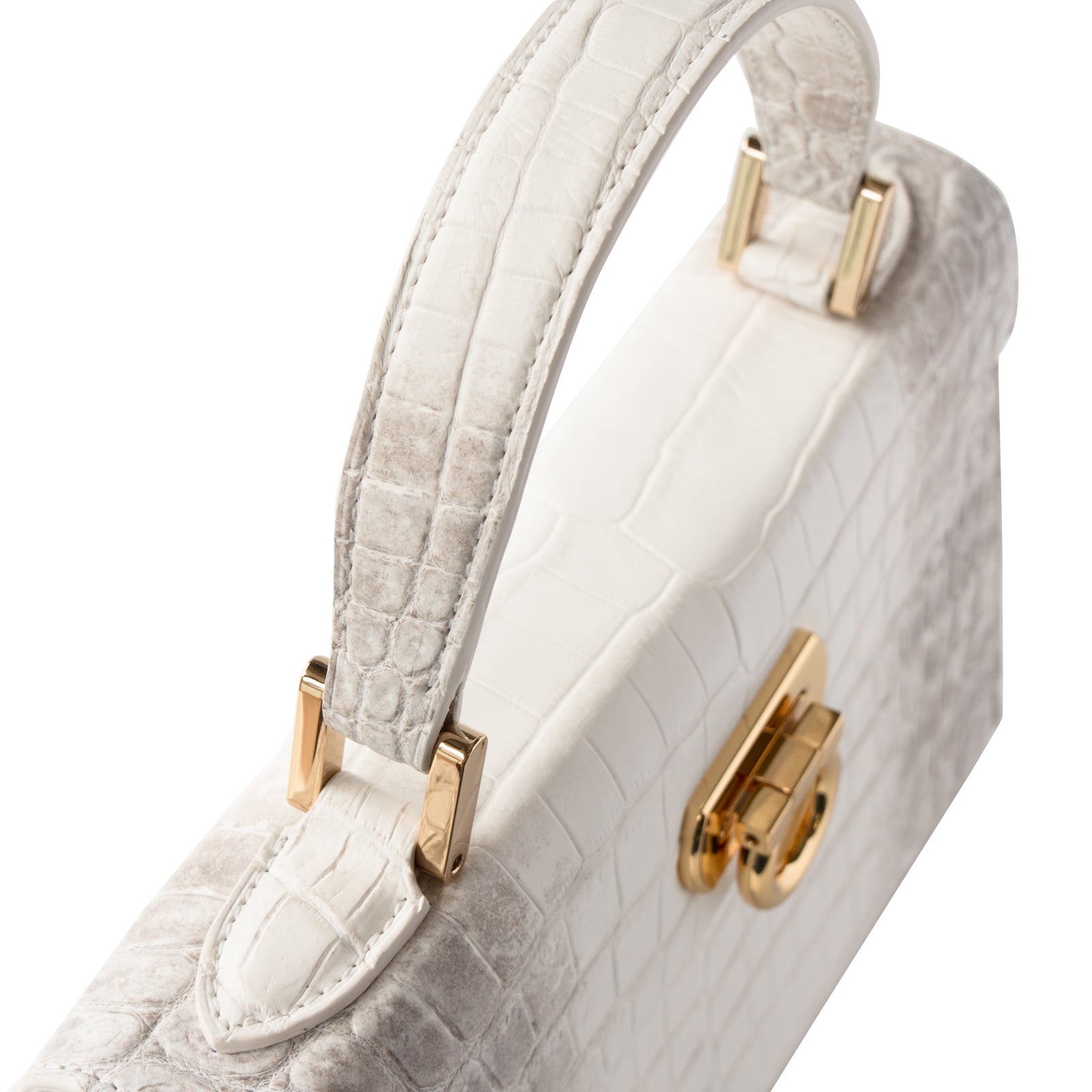 【おつとめ品セール】カンパネラ25 ヒマラヤクロコダイル