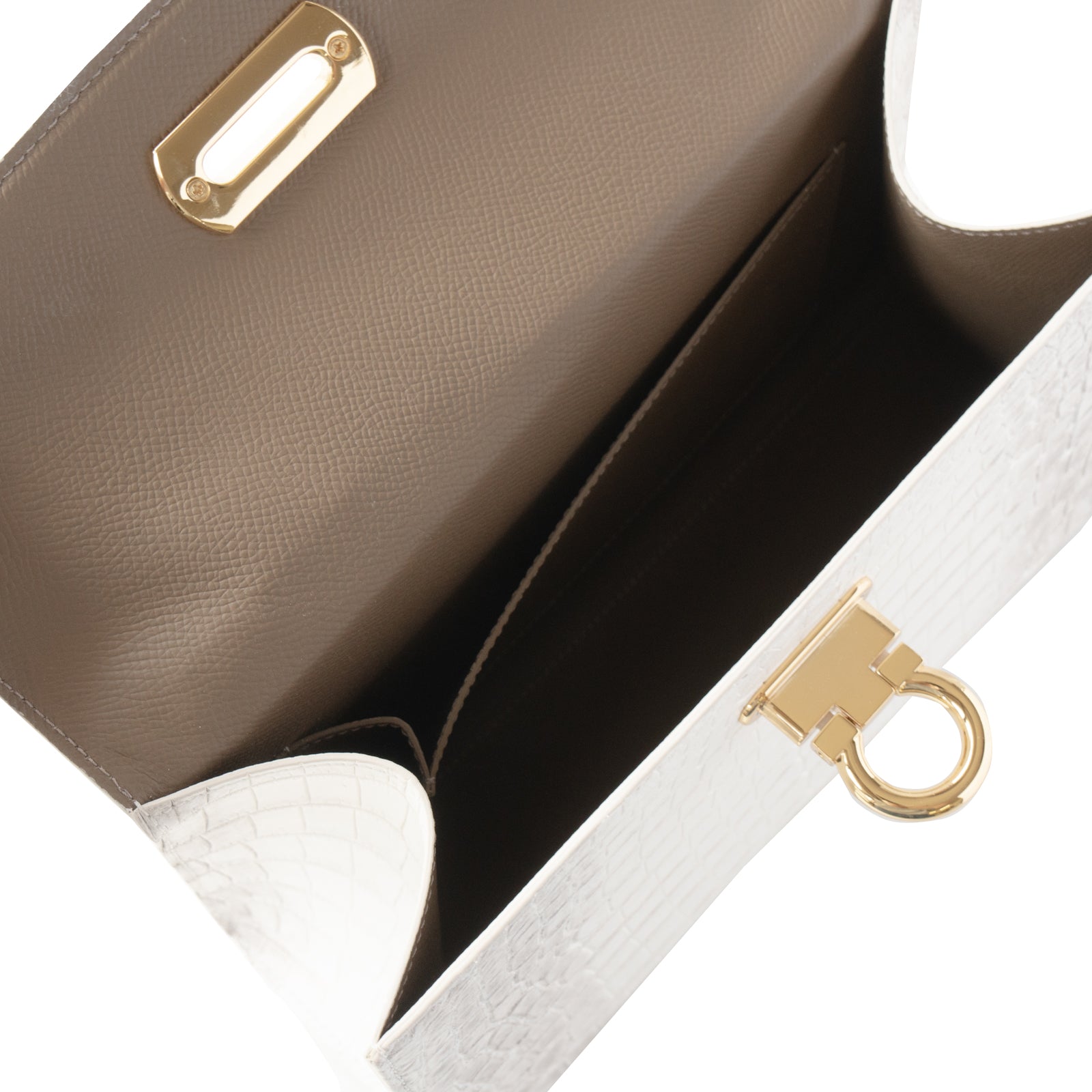 【おつとめ品セール】カンパネラ25 ヒマラヤクロコダイル