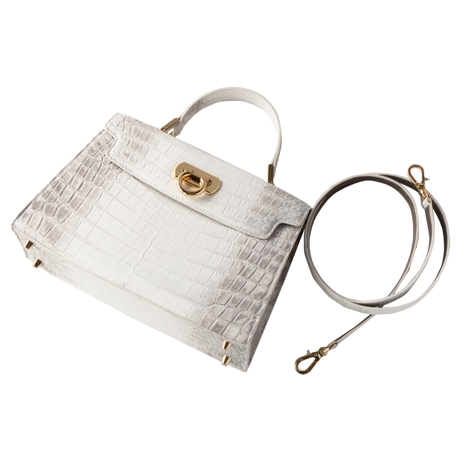 【おつとめ品セール】カンパネラ25 ヒマラヤクロコダイル