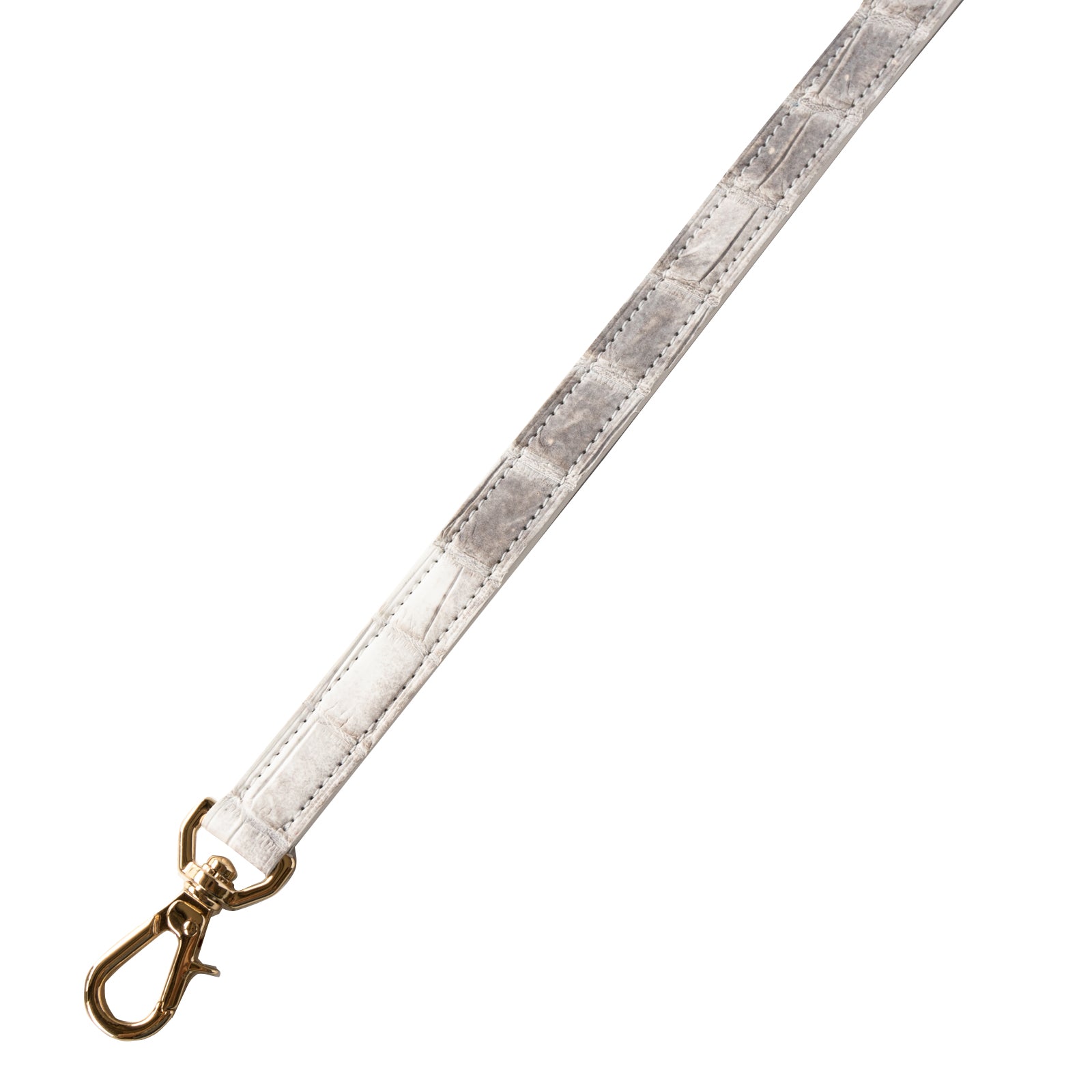 【おつとめ品セール】カンパネラ25 ヒマラヤクロコダイル