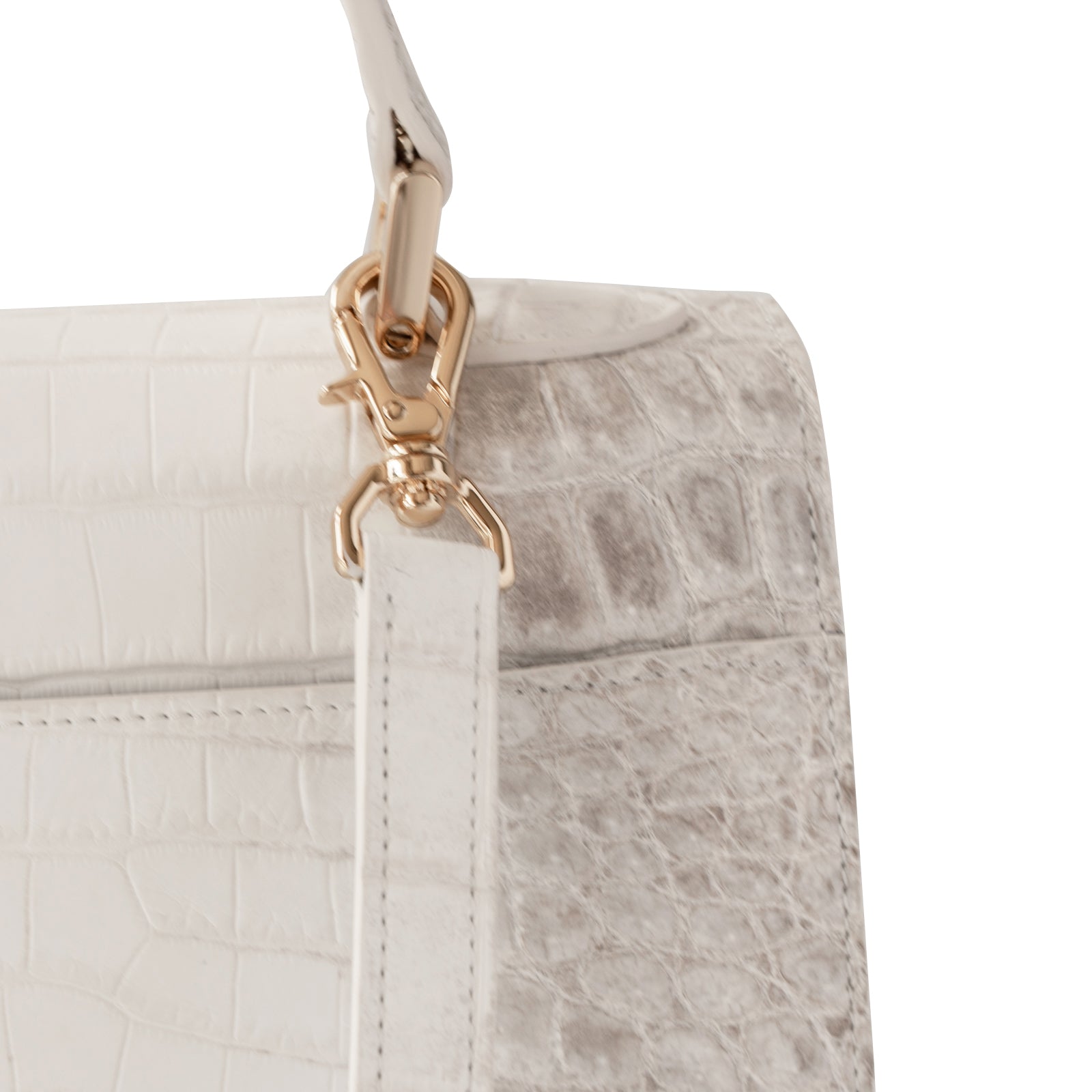 【おつとめ品セール】カンパネラ25 ヒマラヤクロコダイル