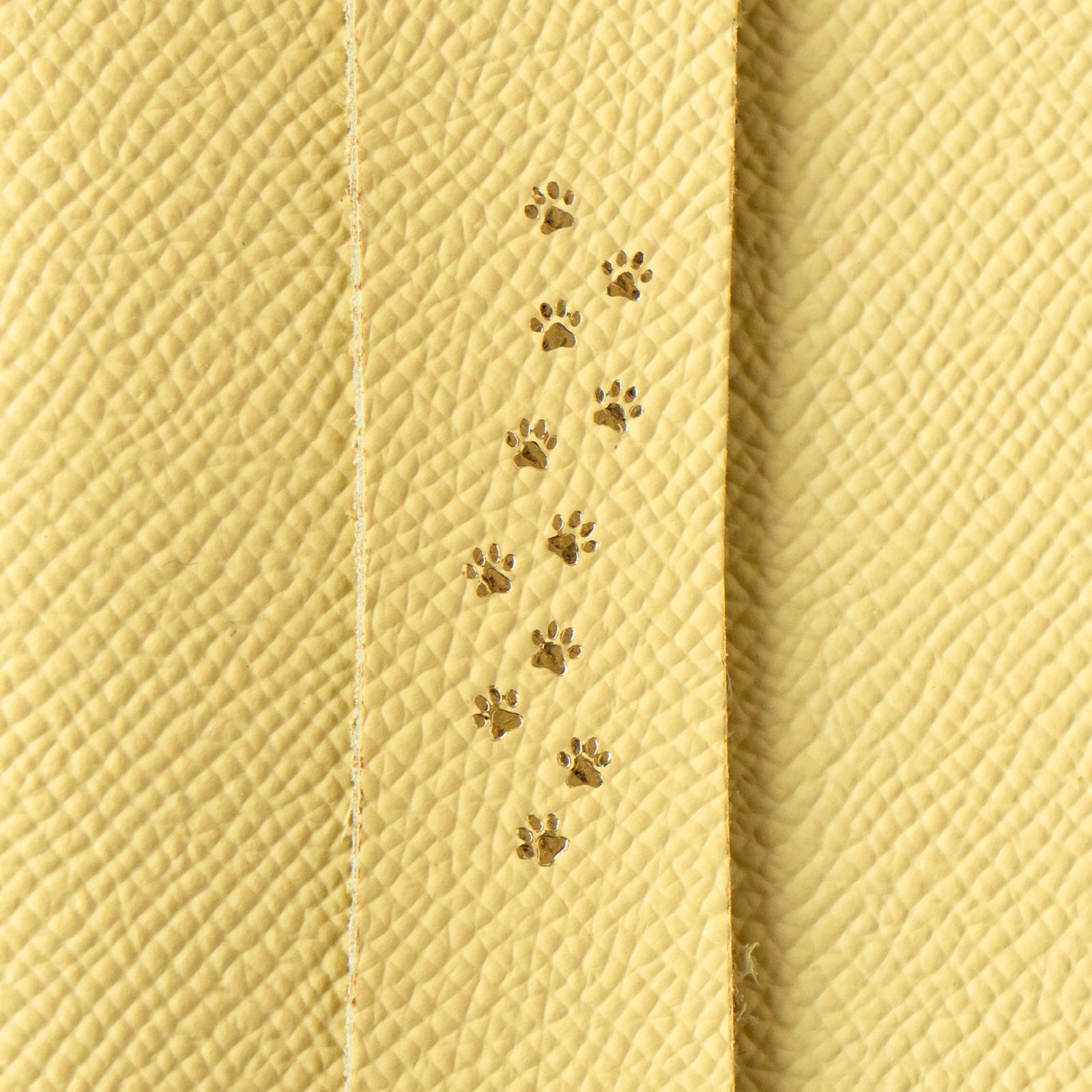 CAT Book Cover Cuir Minerva / Canary