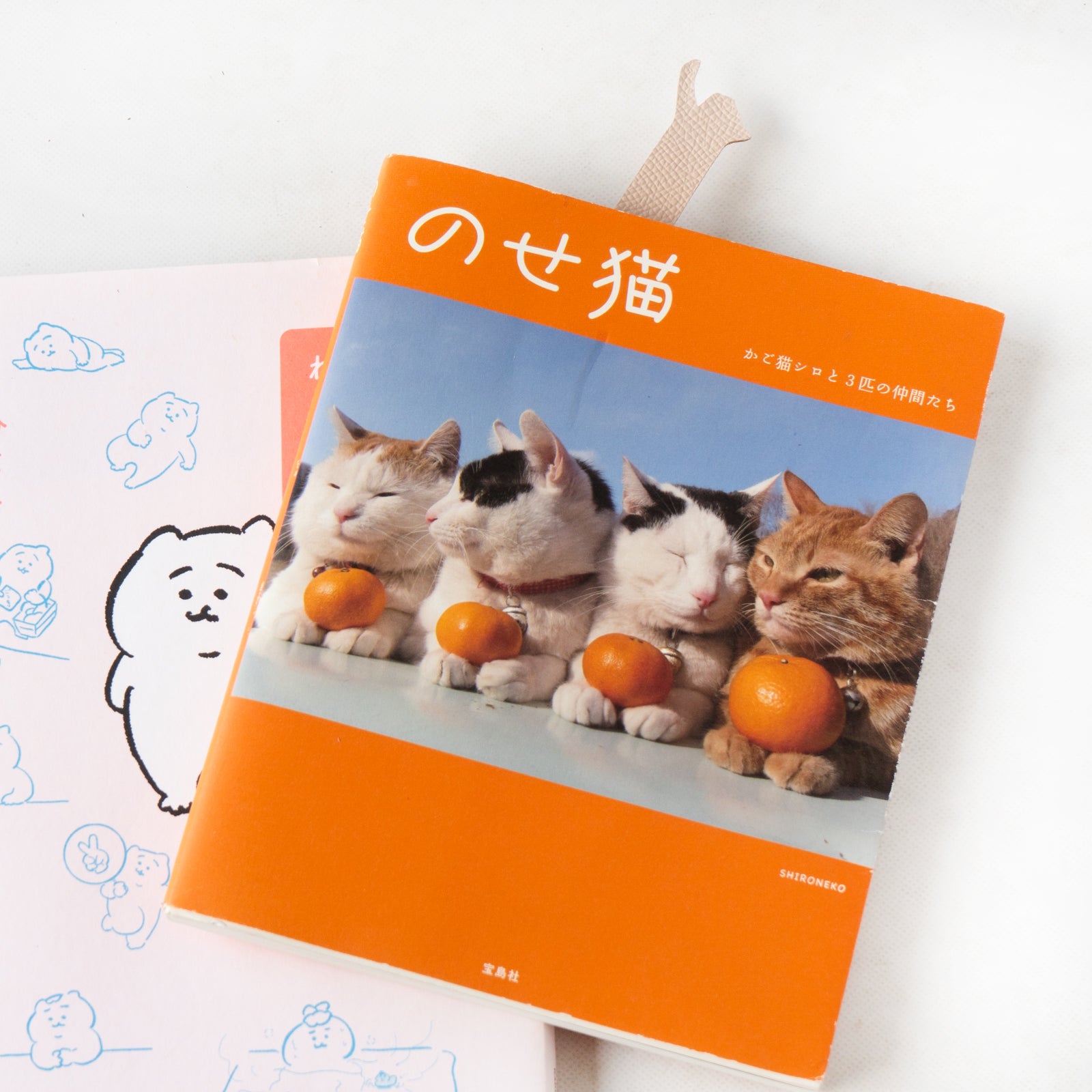 【9/7(日)22:00~ 26時間限定販売】ブックニャーク(のび) キュイール・ミネルバ / シェルローズ