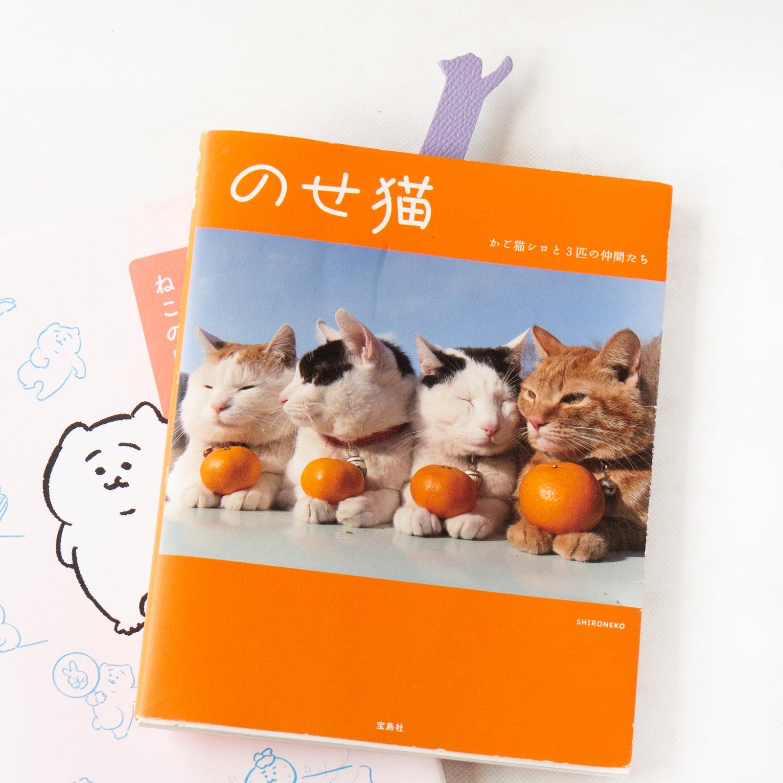 【9/7(日)22:00~ 26時間限定販売】ブックニャーク(のび) キュイール・ミネルバ / ラベンダー