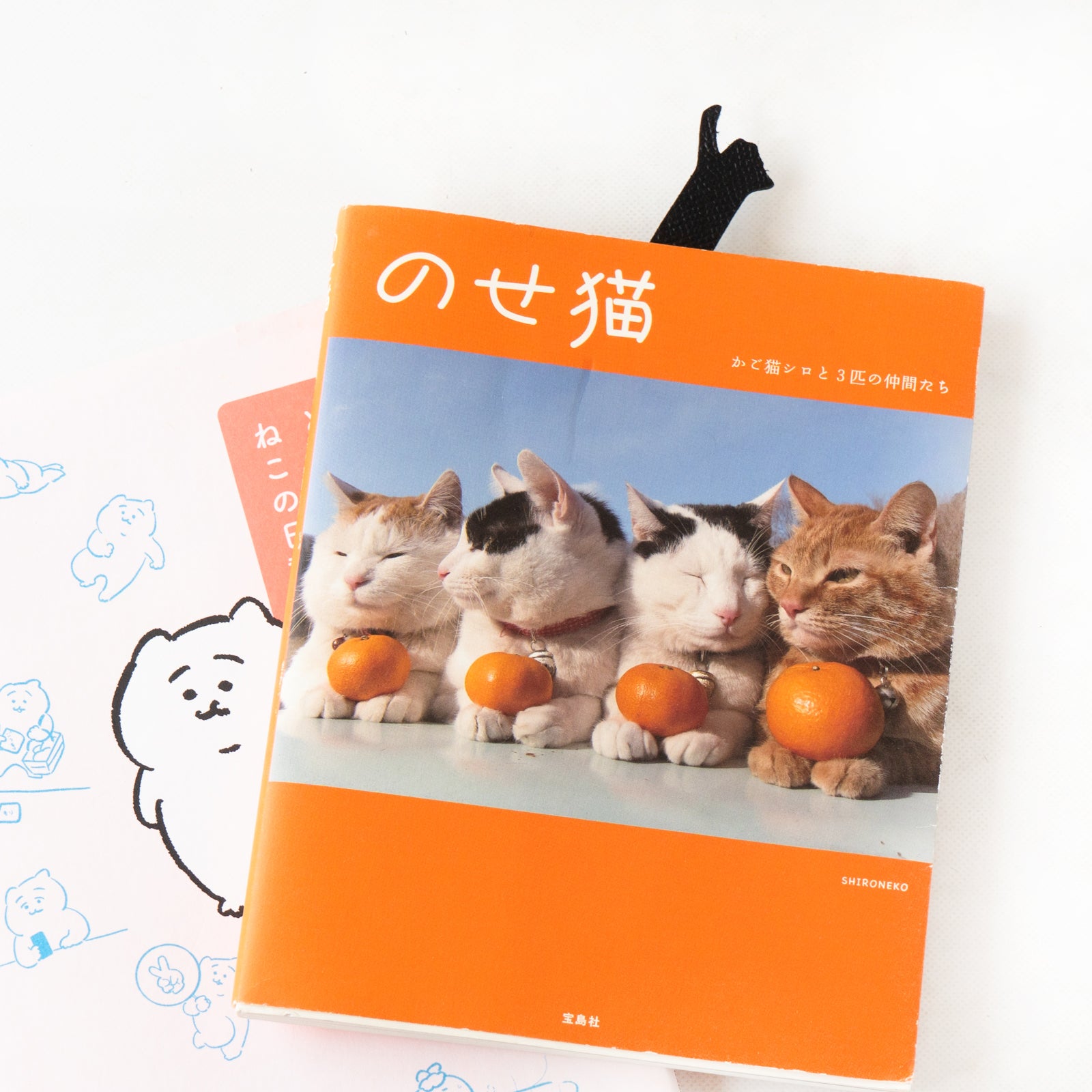 【9/7(日)22:00~ 26時間限定販売】ブックニャーク(のび) キュイール・ミネルバ / ブラック