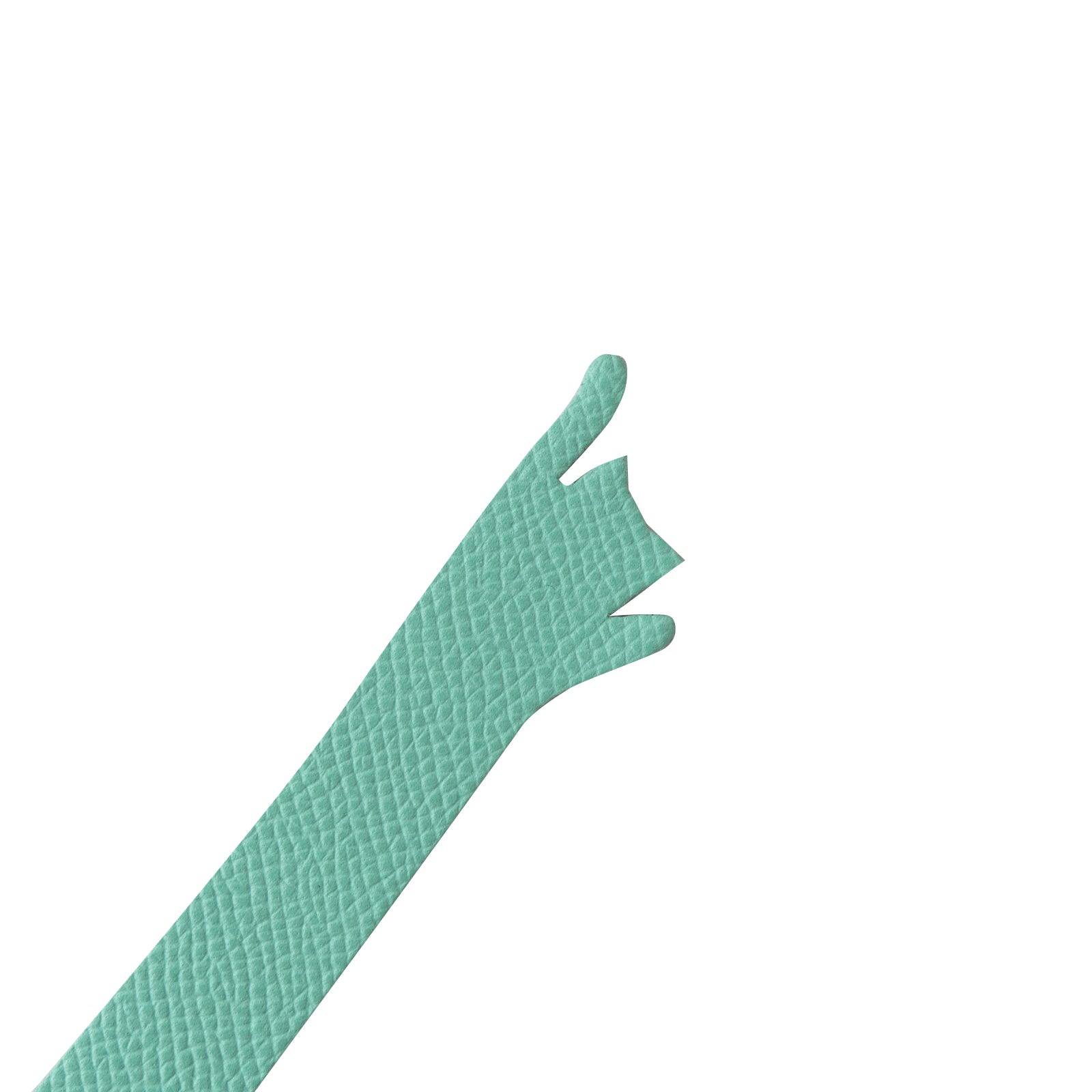 Book Nyak (Hurray) Veau Epsom / Tiffany Blue