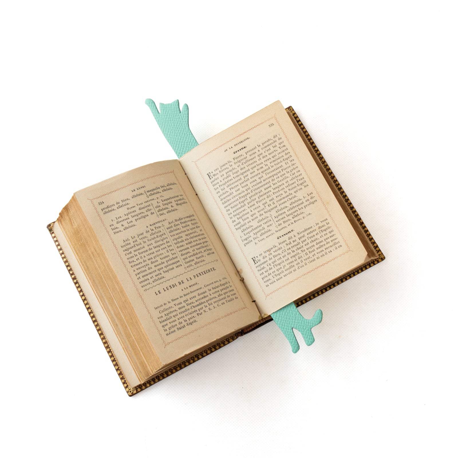 Book Nyak (Hurray) Veau Epsom / Tiffany Blue