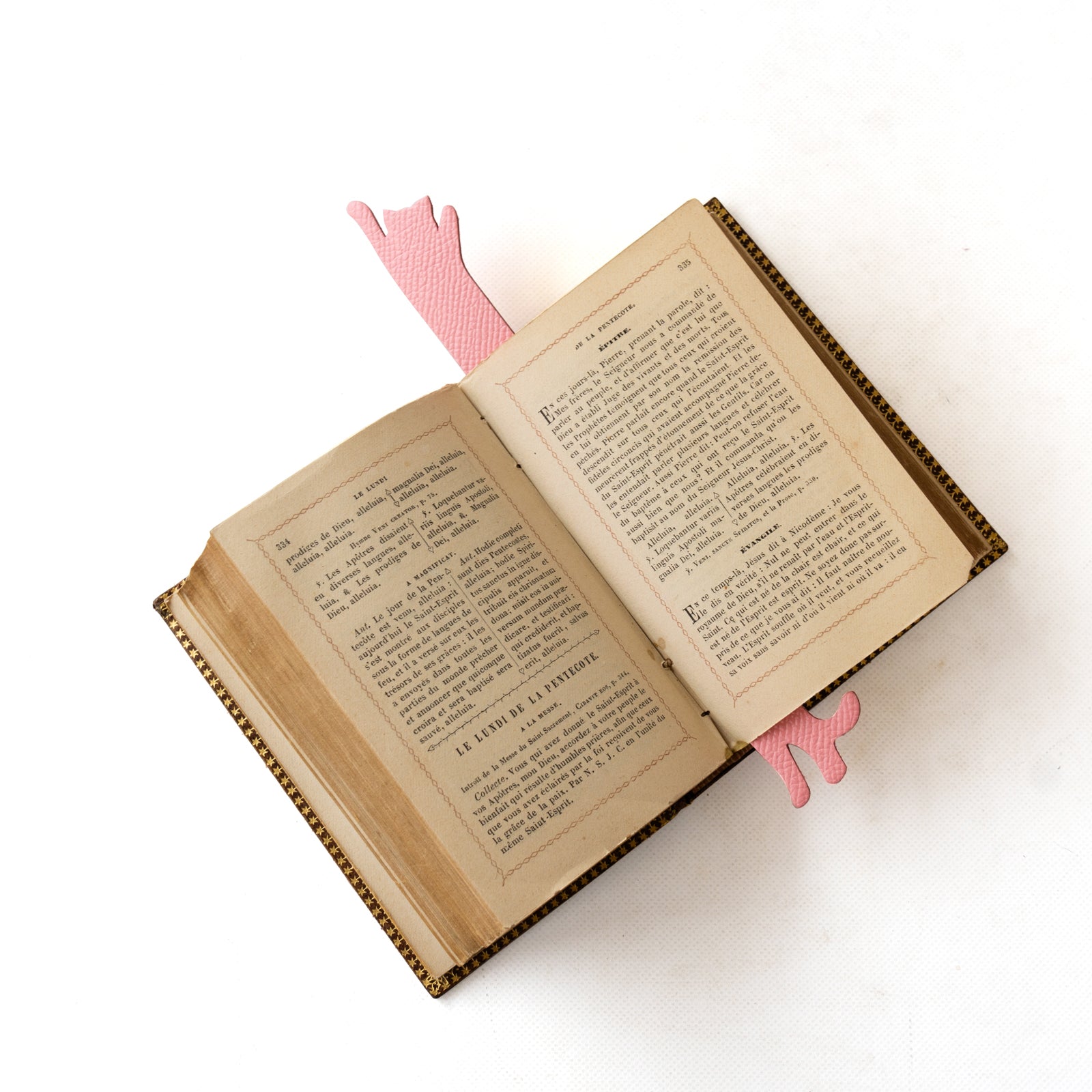 Book Nyak (Hurray) Veau Epsom / Rose Confetti