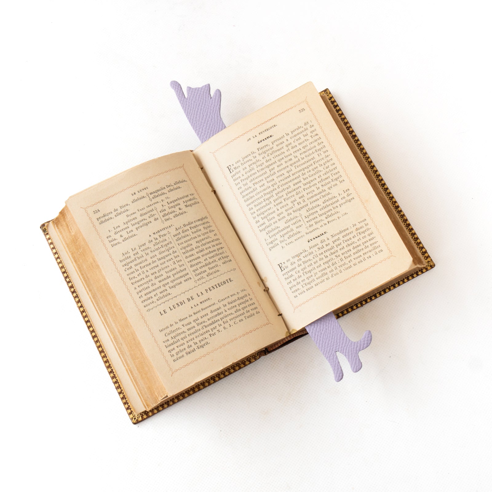 Book Nyak (Hurray) Veau Epsom / Lavender