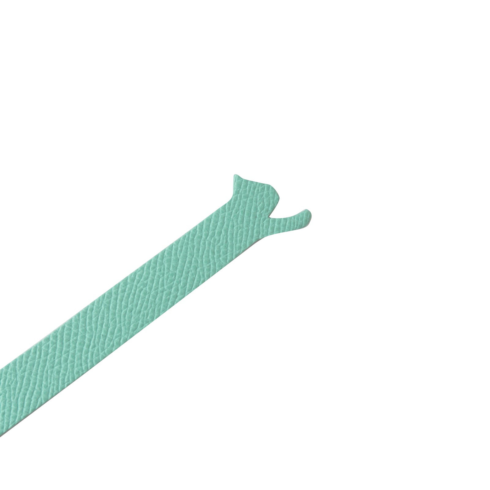 Book Nyak (stretched) Veau Epsom / Tiffany Blue