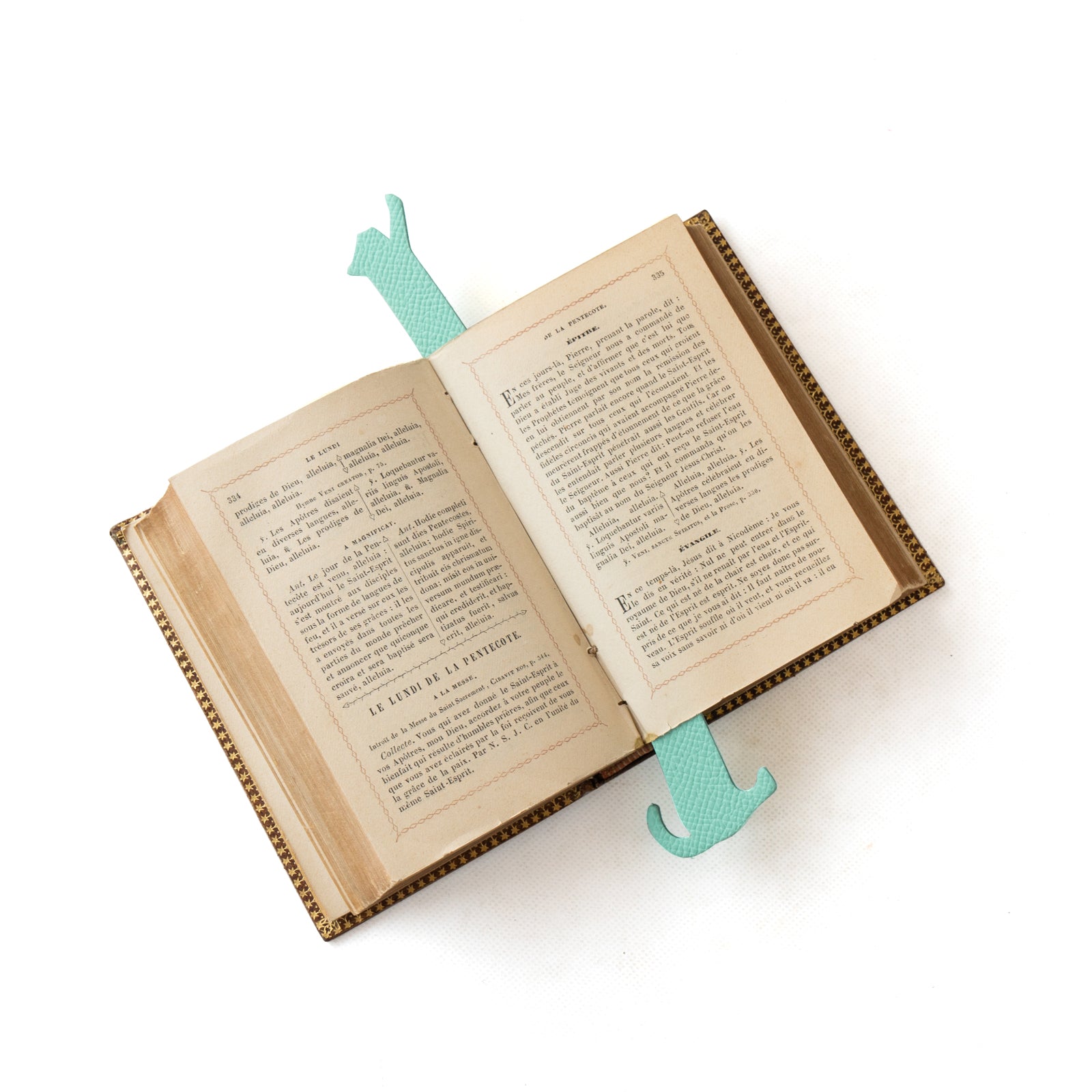 Book Nyak (stretched) Veau Epsom / Tiffany Blue