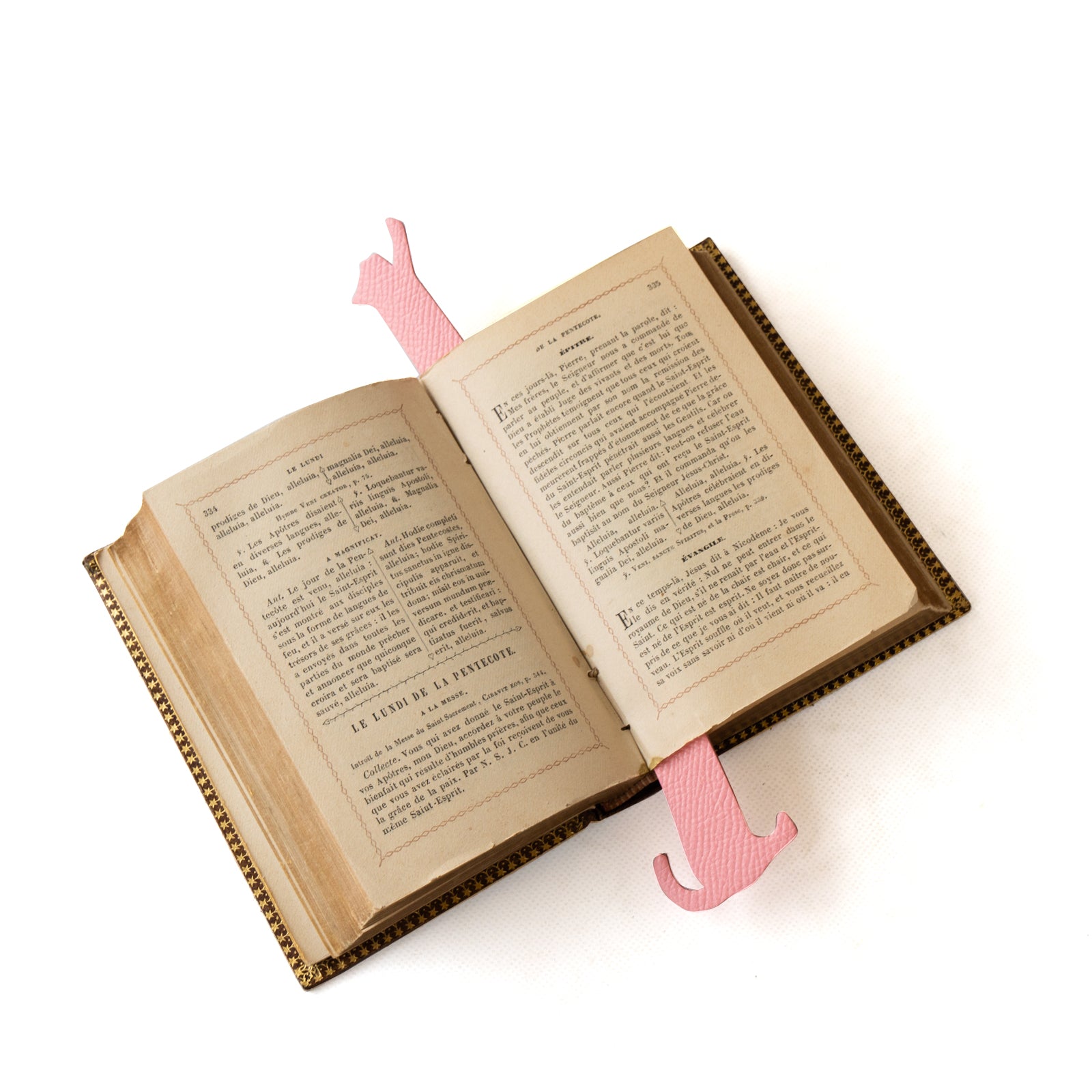 Book Nyak (stretched) Veau Epsom / Rose Confetti