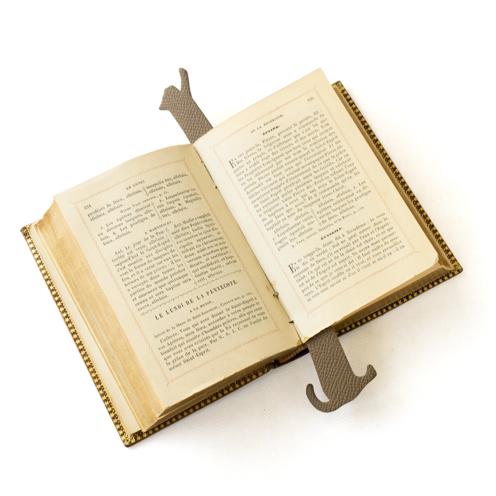 Booknyak (stretched) Veau Epsom / Etoupe