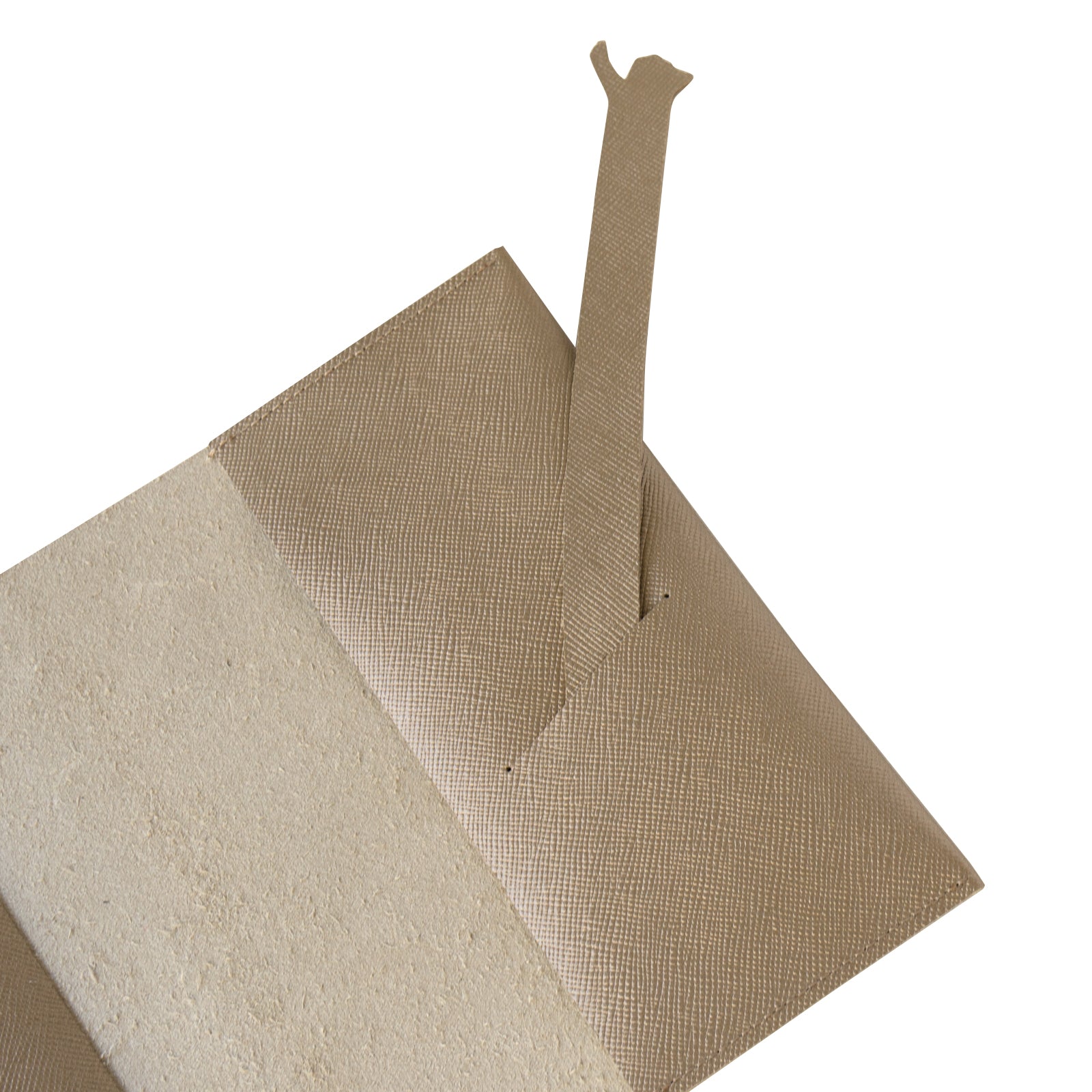 CAT Book Cover Cuir Saffian / Sparkling Taupe