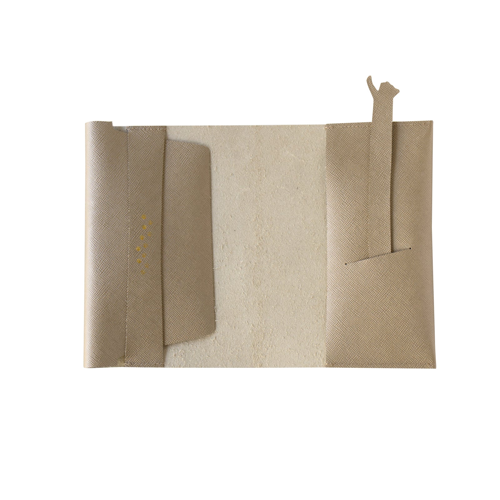 CAT Book Cover Cuir Saffian / Sparkling Taupe