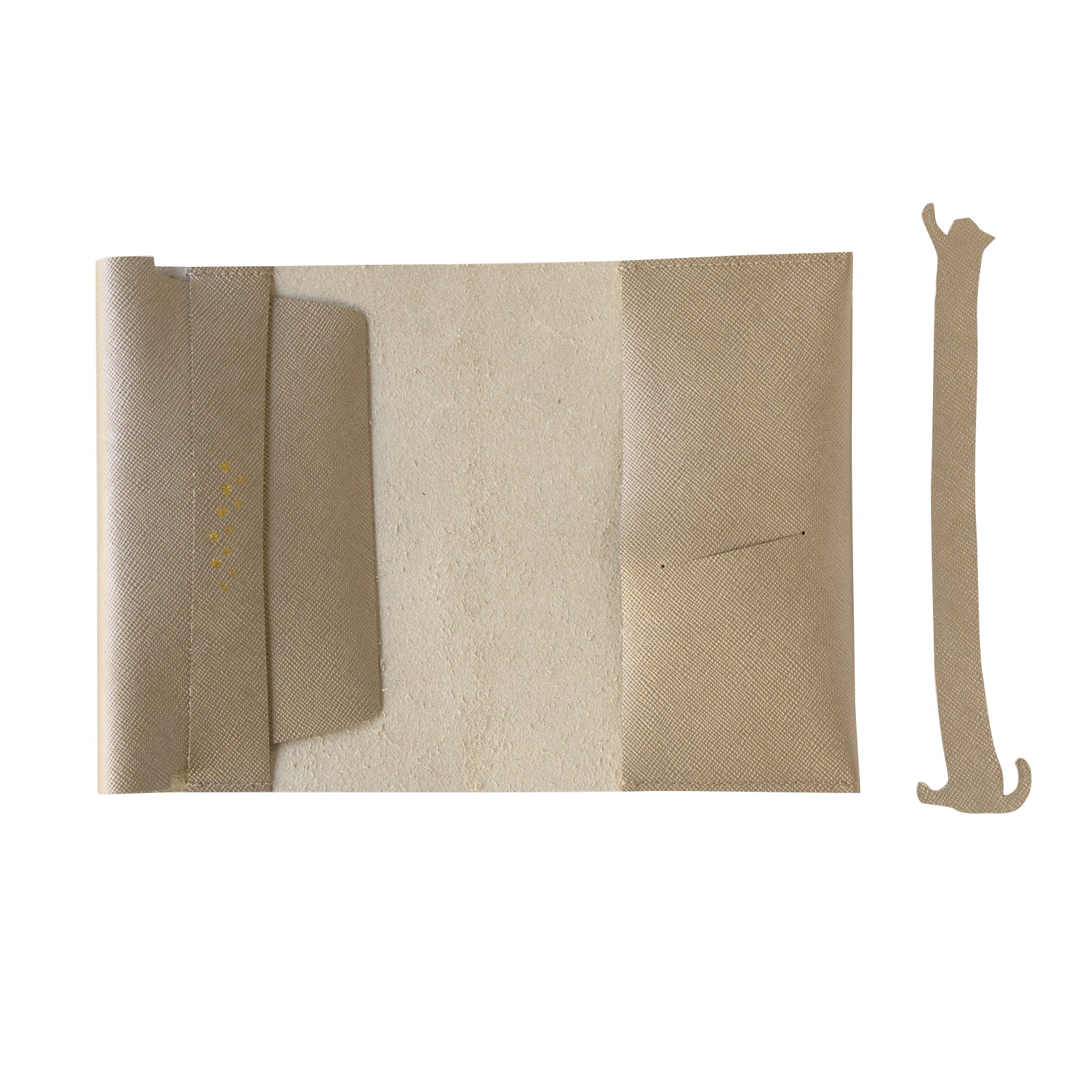 CAT Book Cover Cuir Saffian / Sparkling Taupe