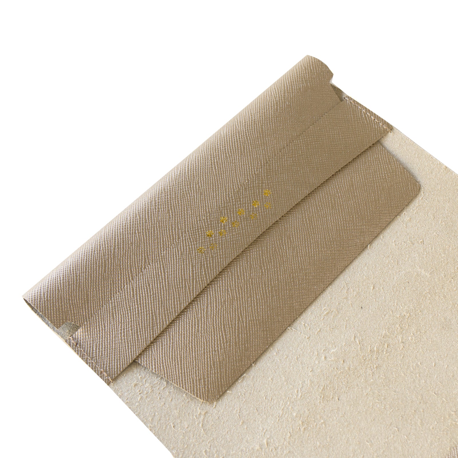 CAT Book Cover Cuir Saffian / Sparkling Taupe