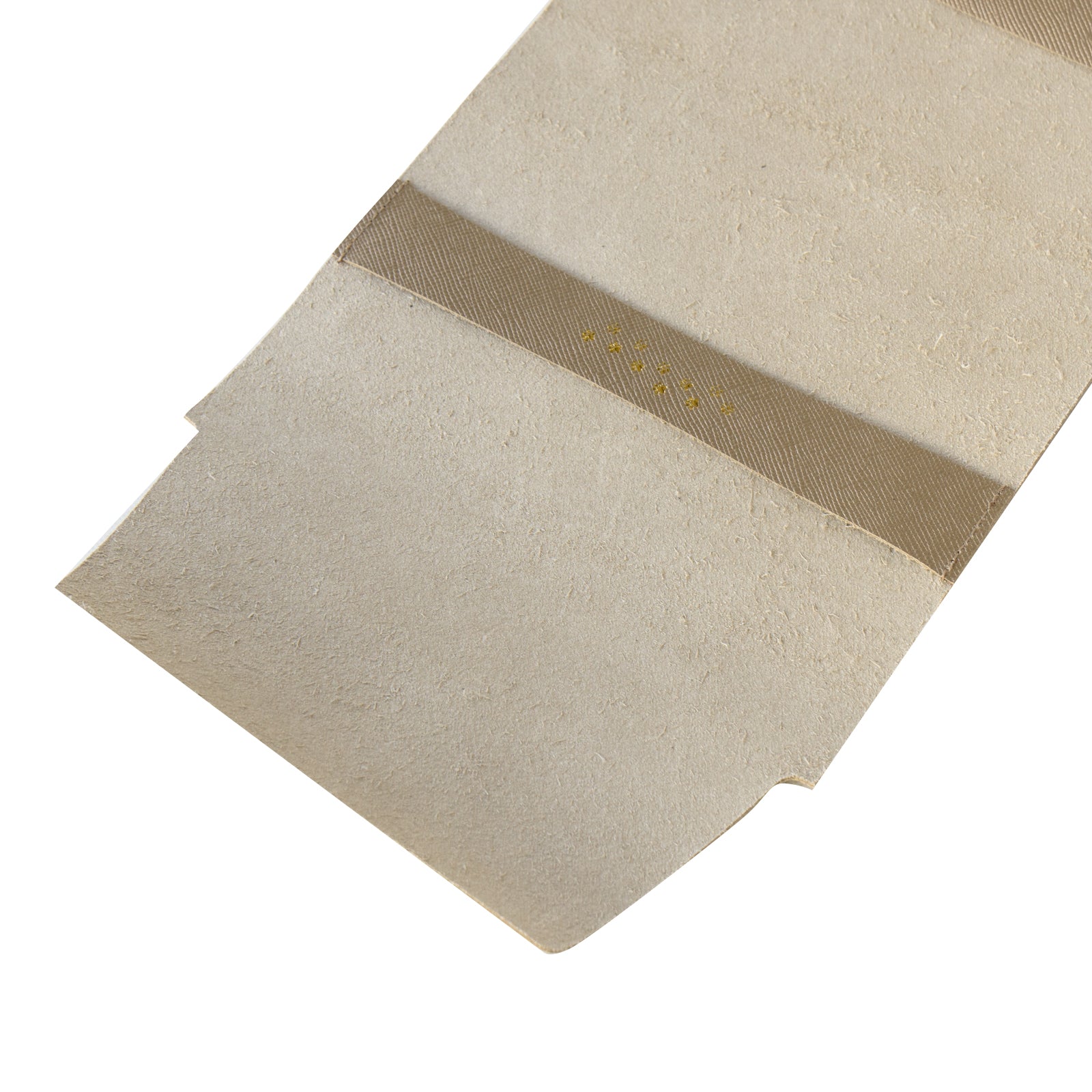 CAT Book Cover Cuir Saffian / Sparkling Taupe