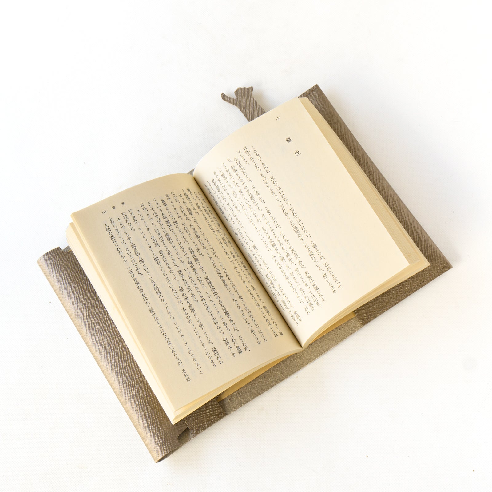 CAT Book Cover Cuir Saffian / Sparkling Taupe