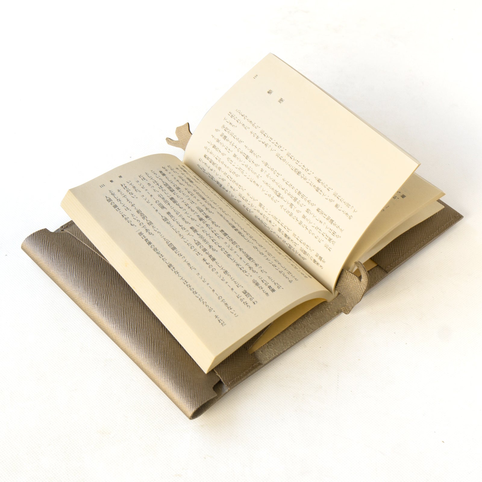 CAT Book Cover Cuir Saffian / Sparkling Taupe