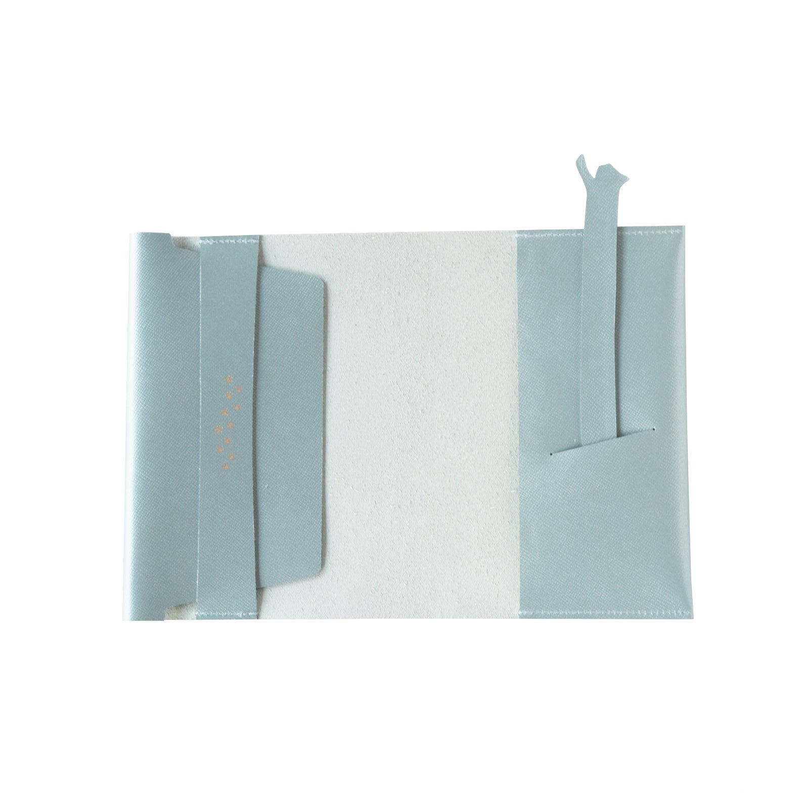 CAT Book Cover Cuir Saffian / Sparkling Blue