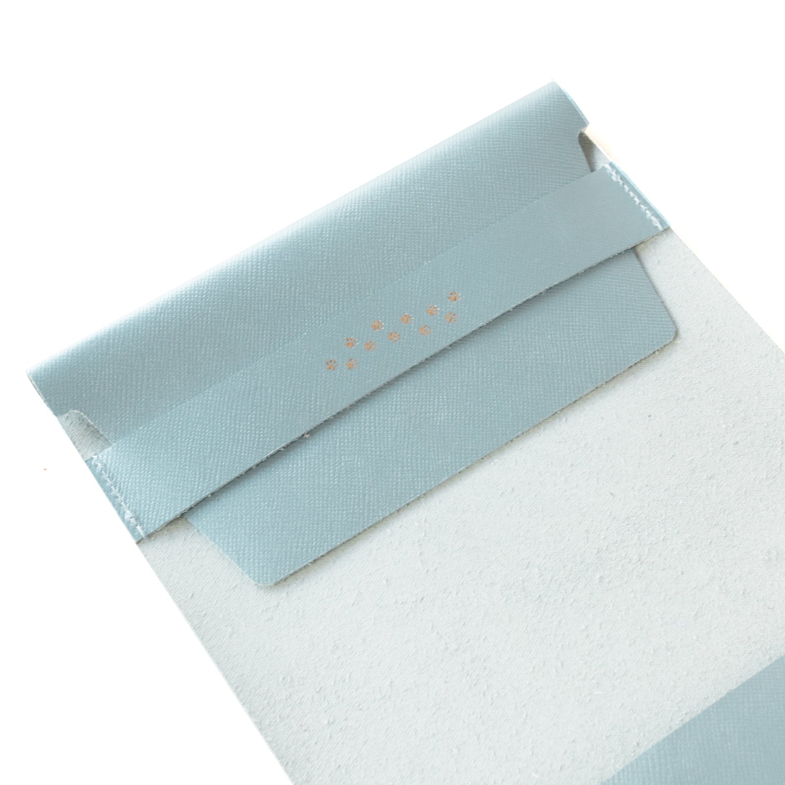 CAT Book Cover Cuir Saffian / Sparkling Blue