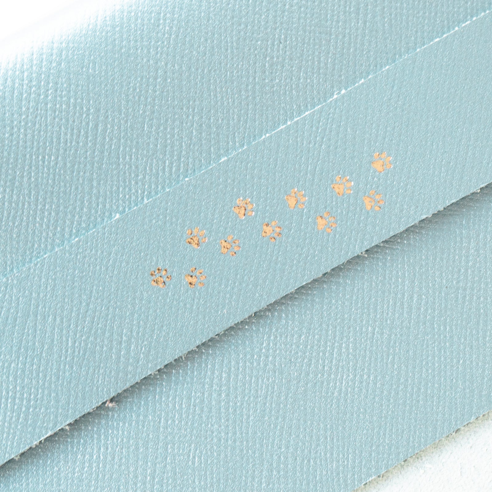 CAT Book Cover Cuir Saffian / Sparkling Blue