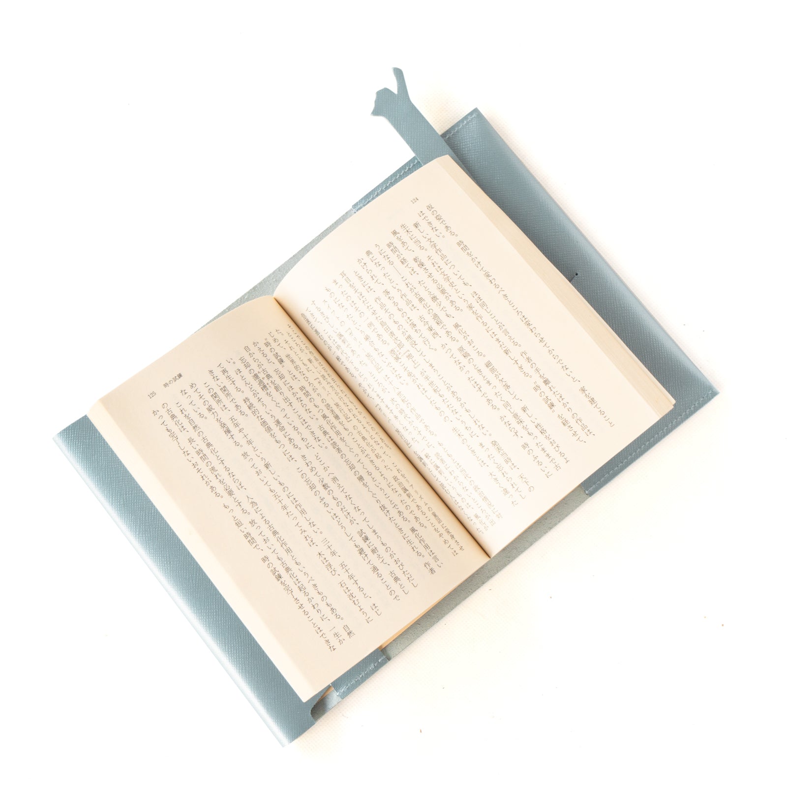 CAT Book Cover Cuir Saffian / Sparkling Blue