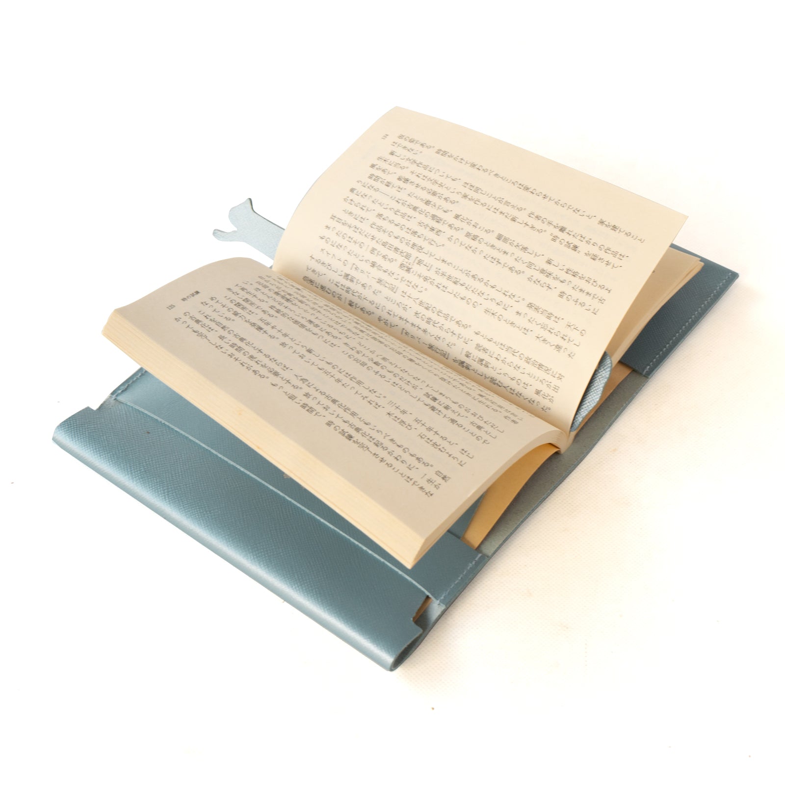 CAT Book Cover Cuir Saffian / Sparkling Blue