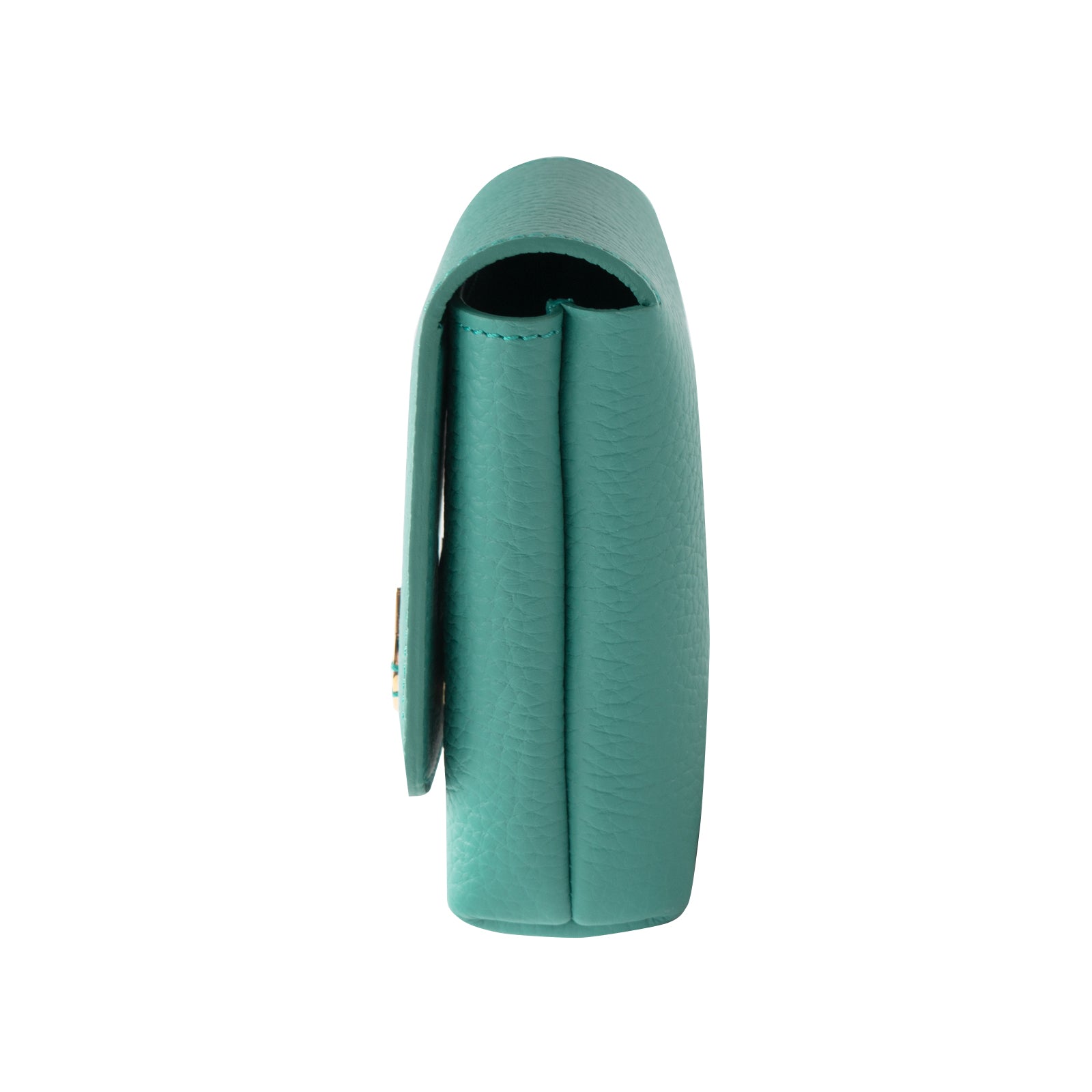 CAT Lip Case (3-piece type) Cuir Mache / Turquoise