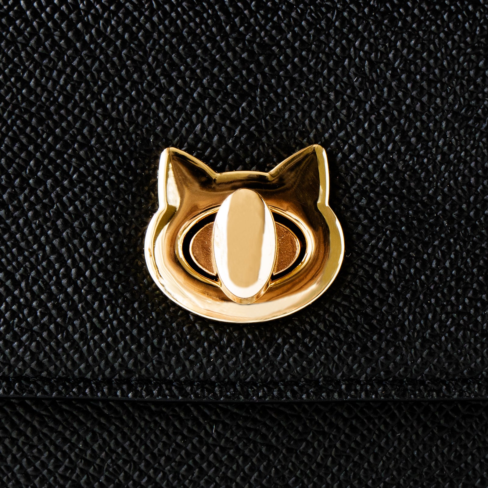 Handbag Nyanpanella 25 Cuir Minerva / Black