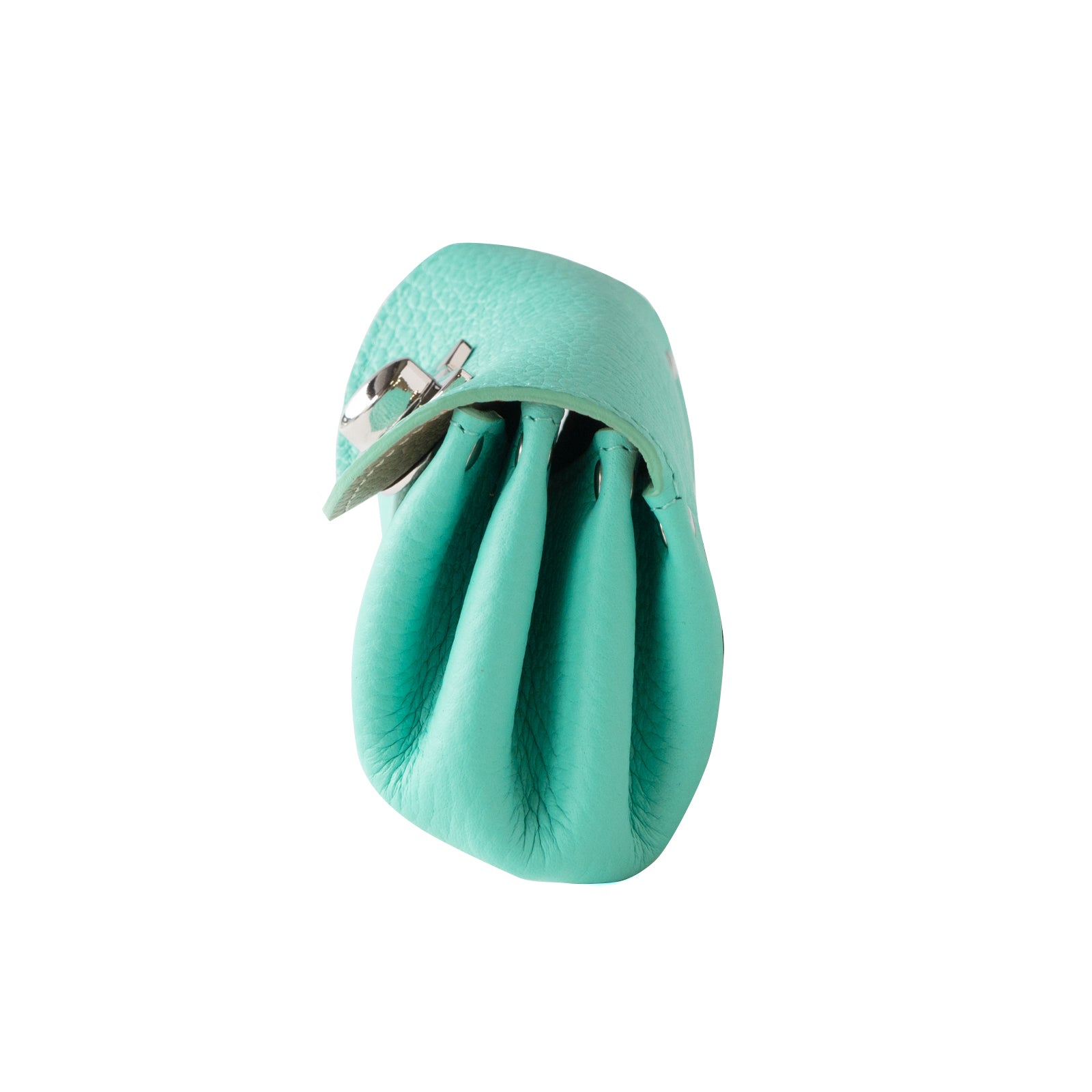 Shell pouch CAT Taurillon Clemence / Tiffany Blue