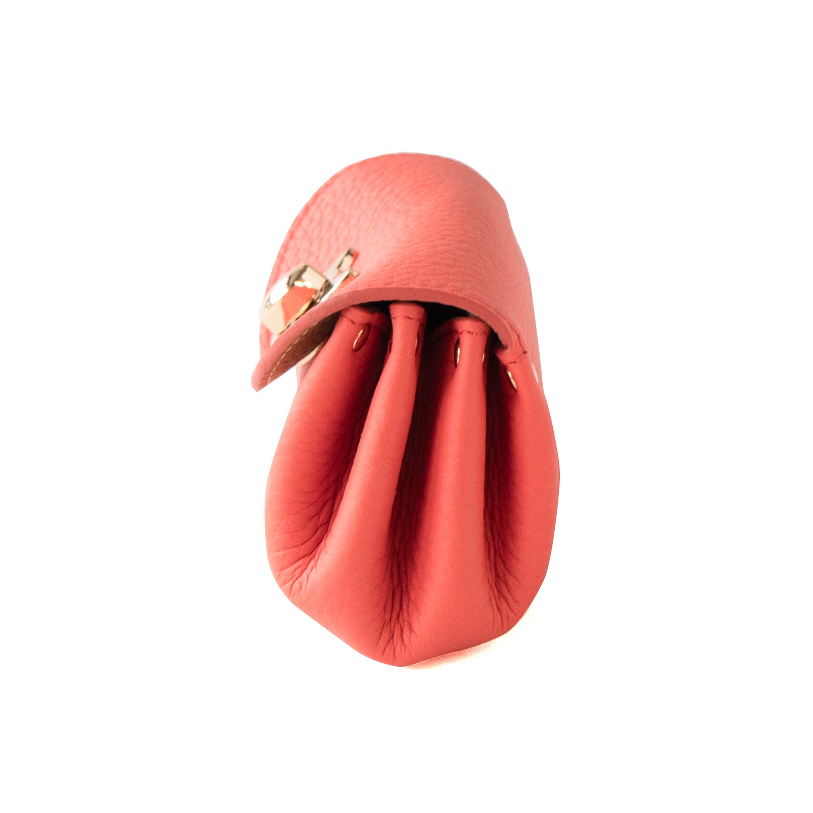 CAT Shell Pouch Taurillon Clemence / Rose Jaipur